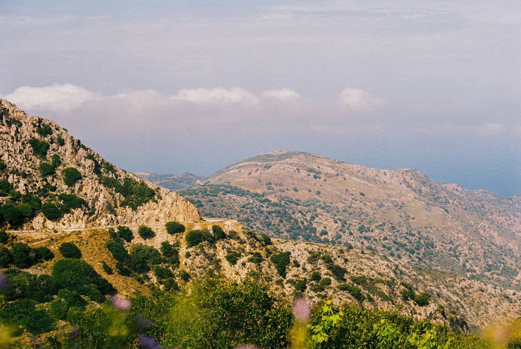 A view of mountains with trees on them rolling out into the distance.