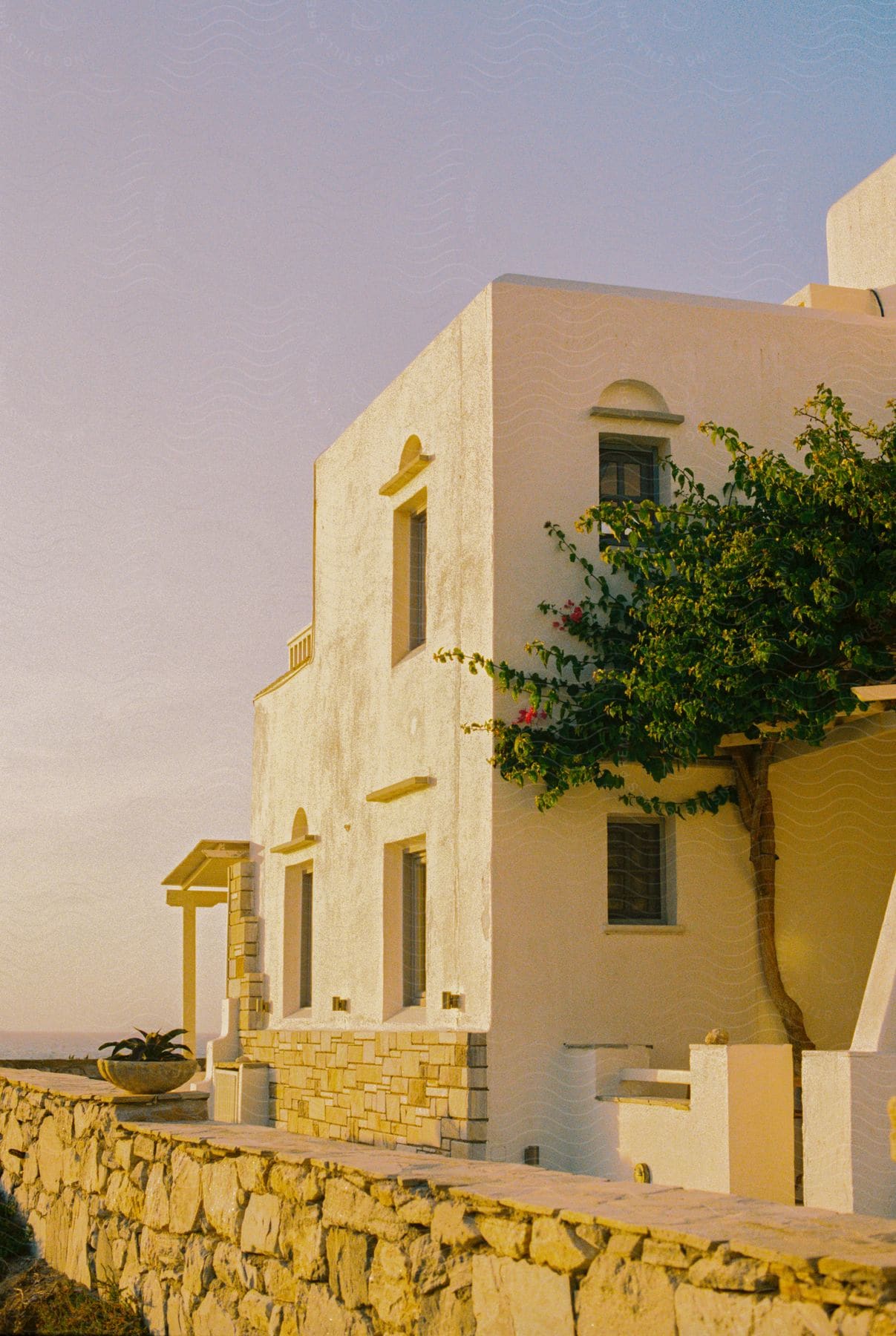 A white coastal house with a tree in front, a stone wall with a tree growing out of it, at sunset.