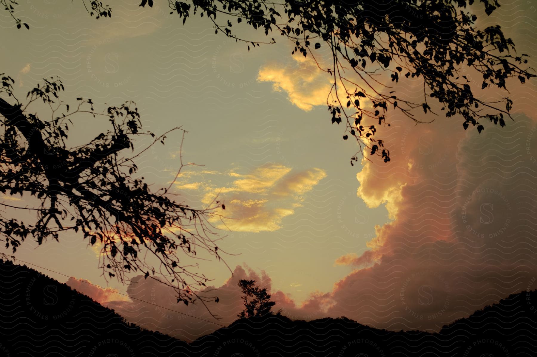 Silhouettes of tree branches and mountains in the distance as the sun reflects on cumulus clouds