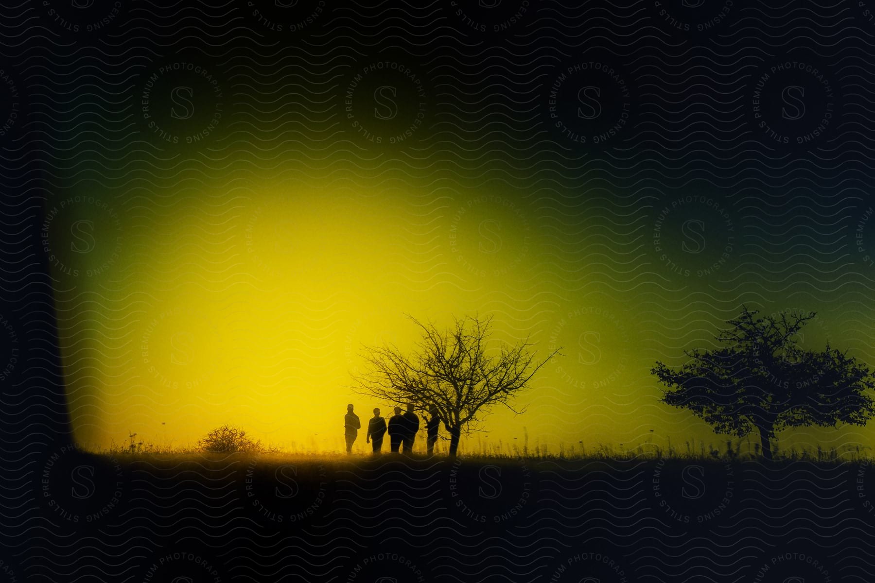 Four silhouettes of people standing in a field under a bare tree with a yellow dusk sky.