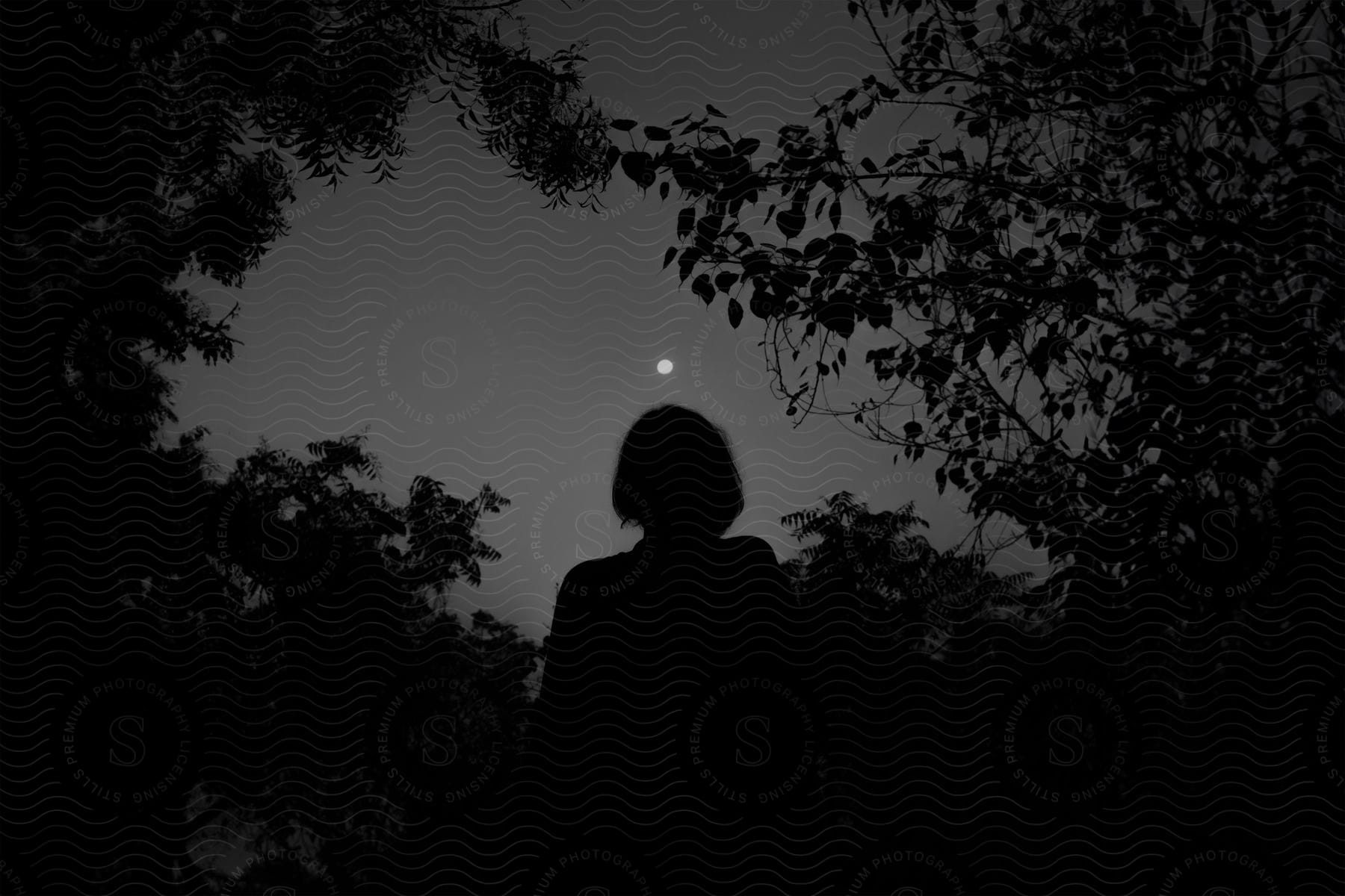 Silhouette of a woman standing among plants and trees looking at the glowing full moon in the sky