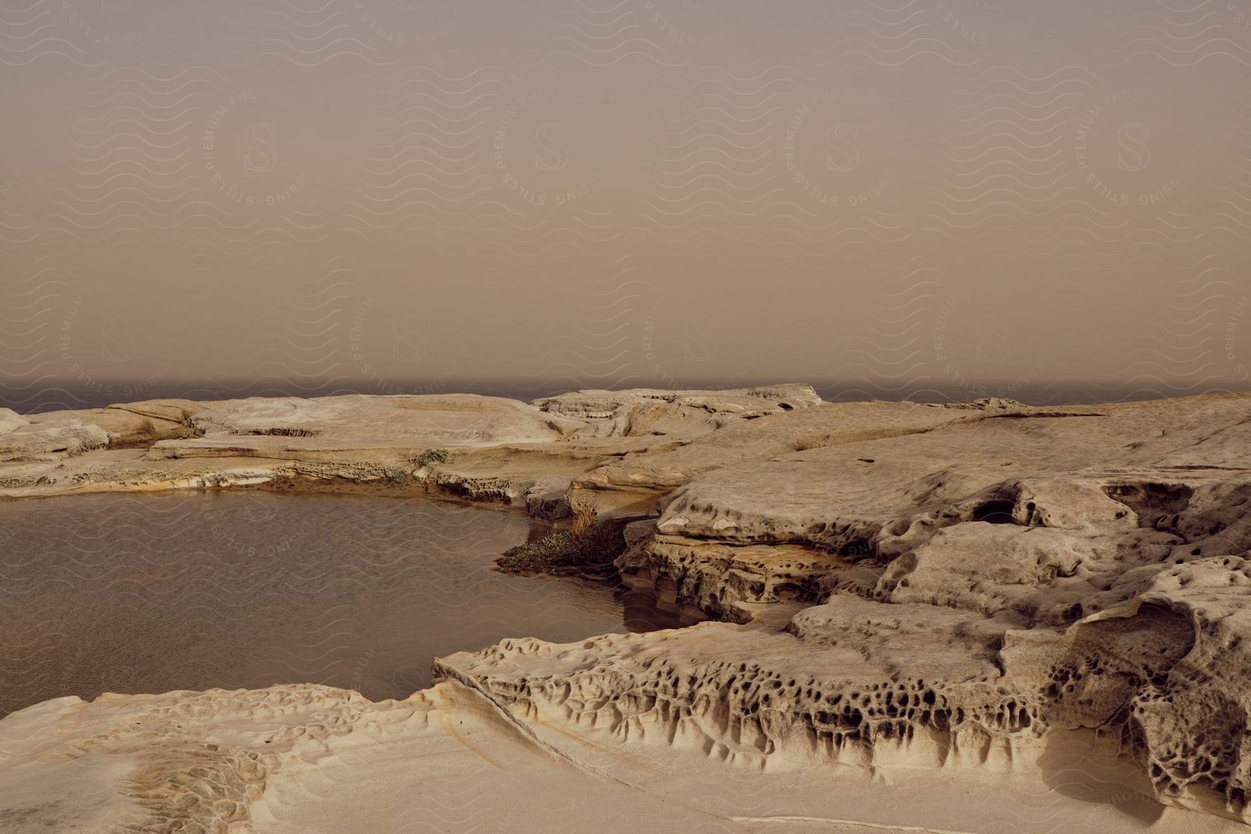 A cluster of porous rocks around a lagoon.