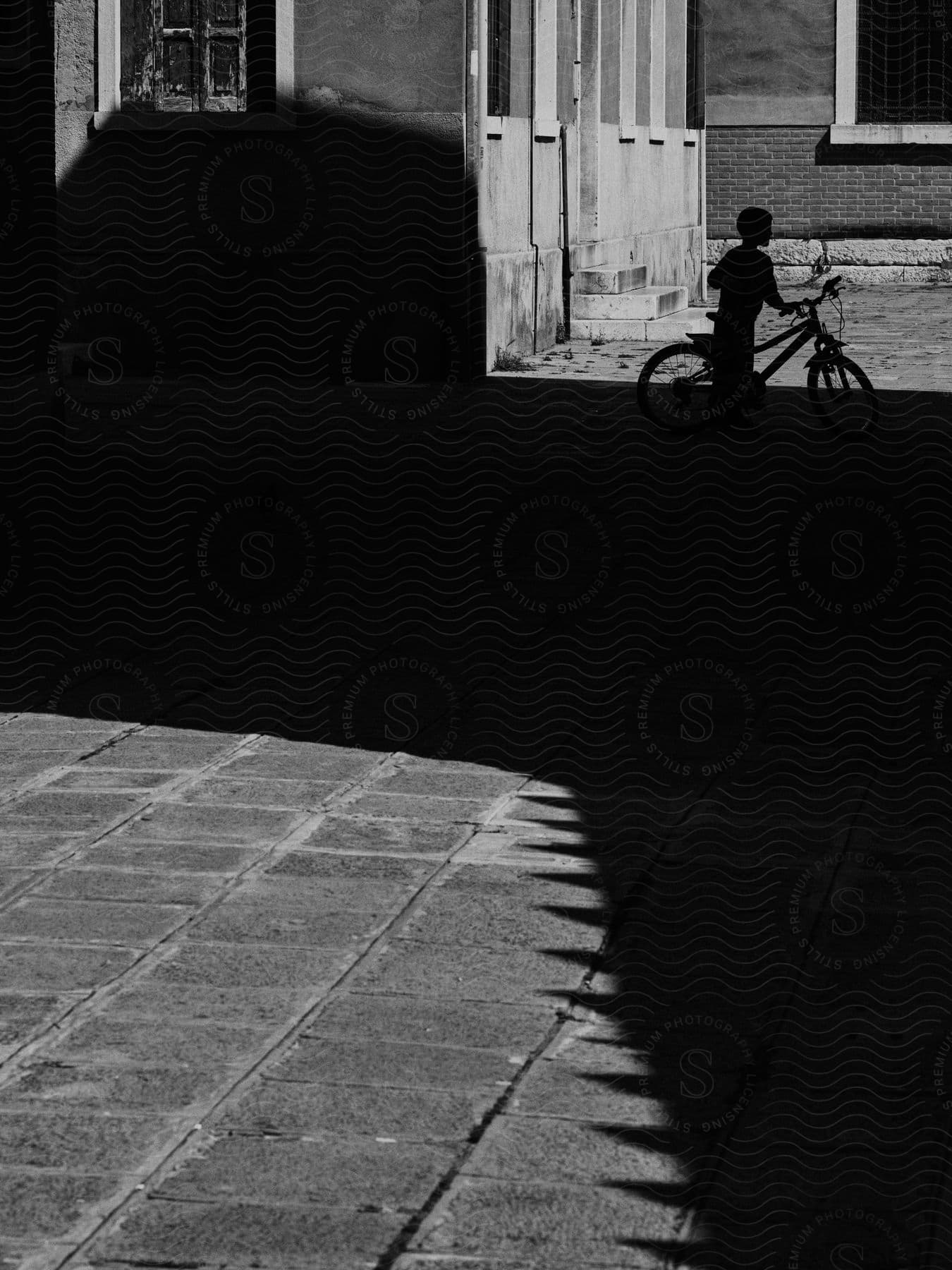 A boy is holding his bike standing between buildings with a large shadow on the boy.