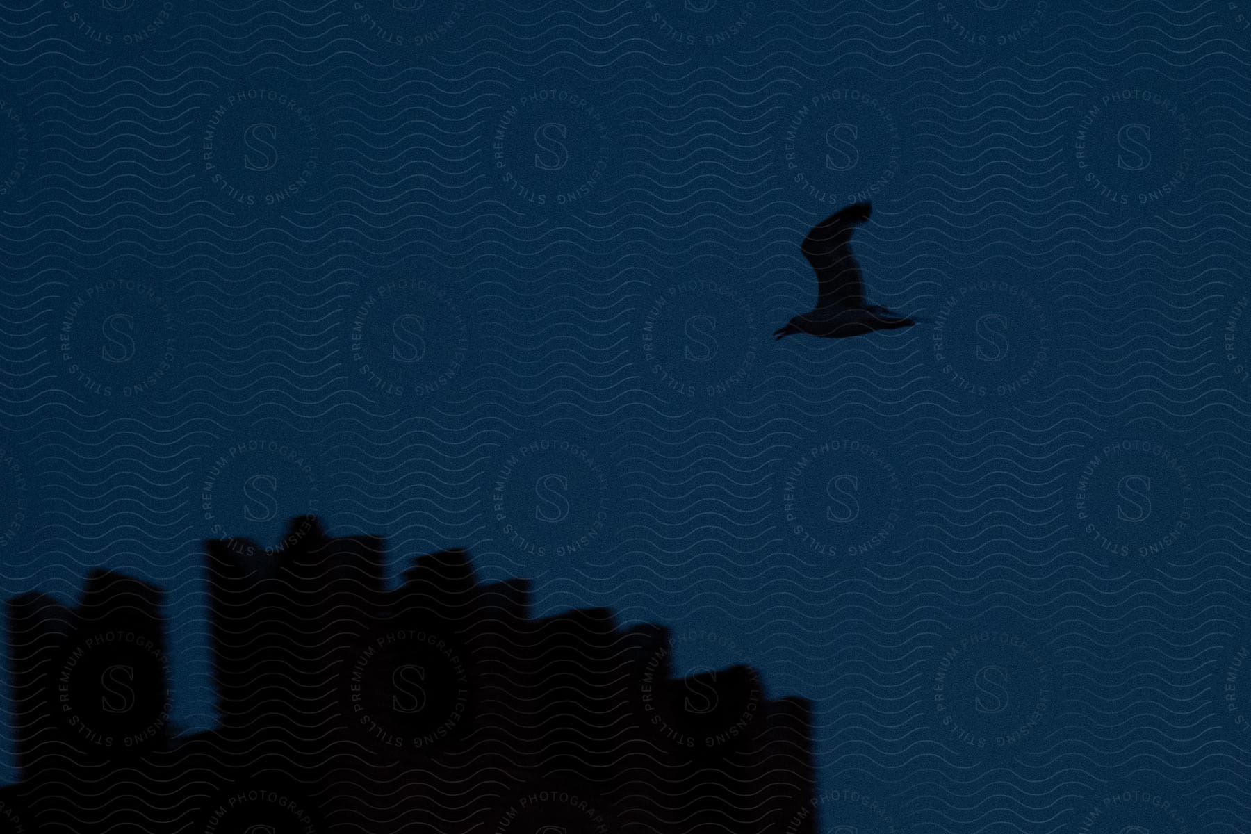 Bird flies over silhouette of crenellated roof at night.