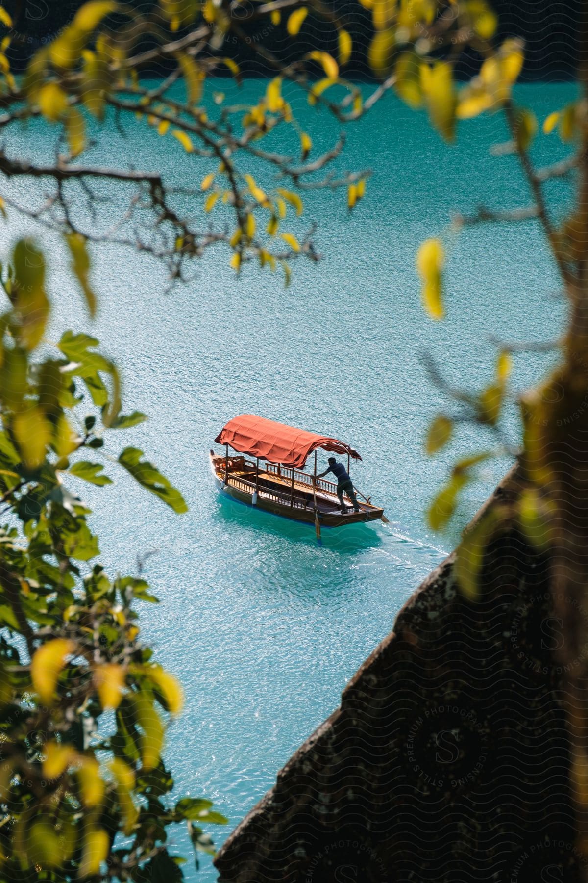 A Person In A Boat On The Water, Looking Through Trees And Leaves