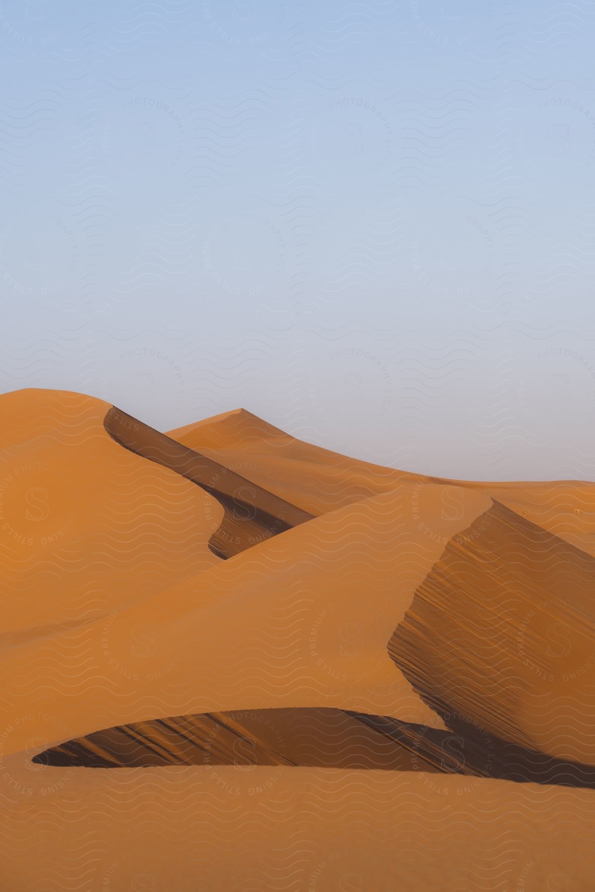 Desert sand dunes.