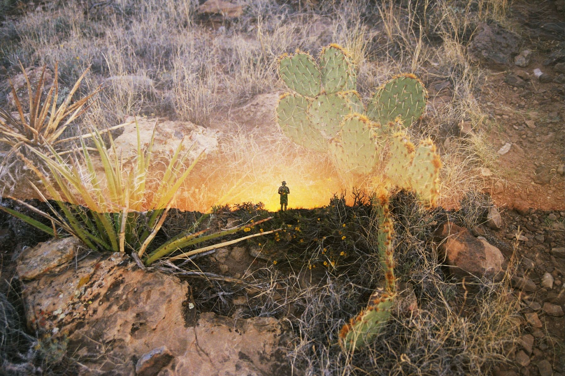 A man standing on a hill at sunset, with a multi-exposed desert landscape imposed over him, including cacti, dried grass, and rocky terrain.