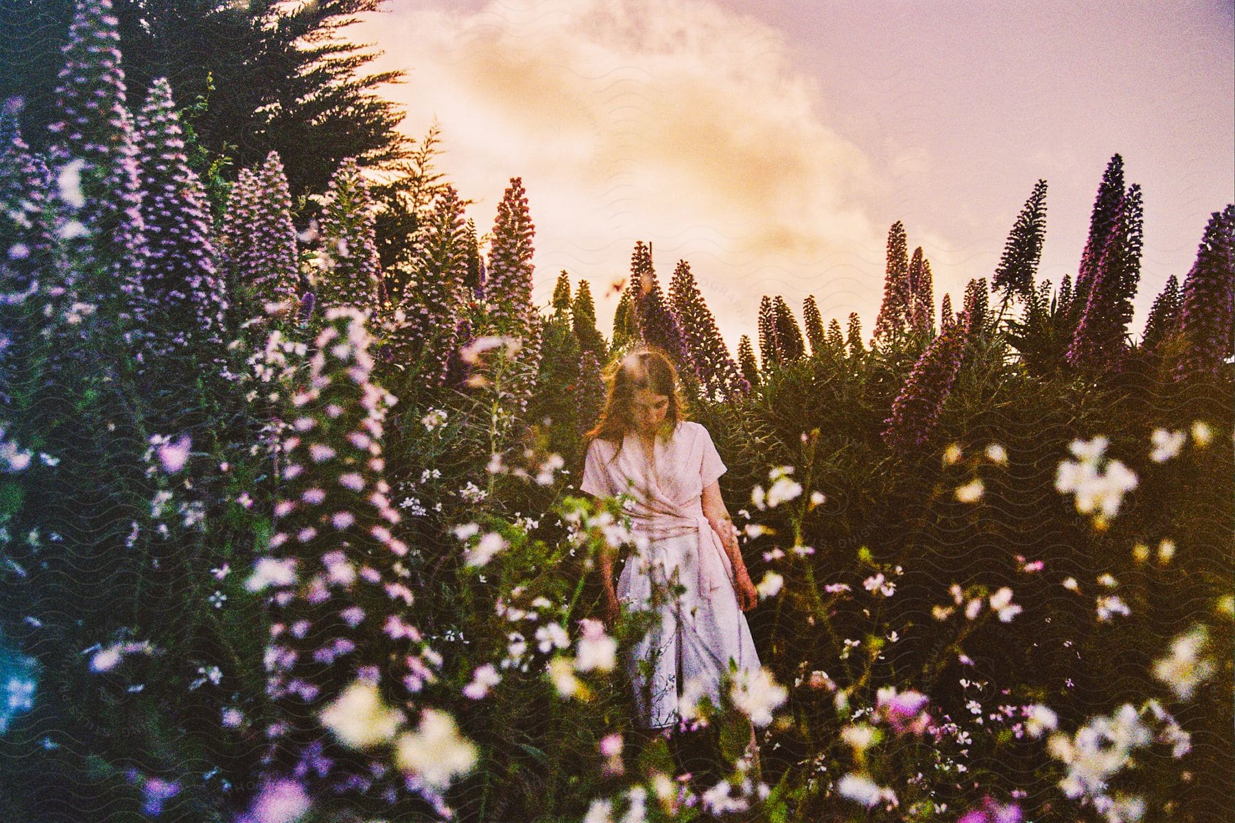 Stock photo of a girl is walking through a garden of tall flowering plants and vegetation on a partly cloudy day.