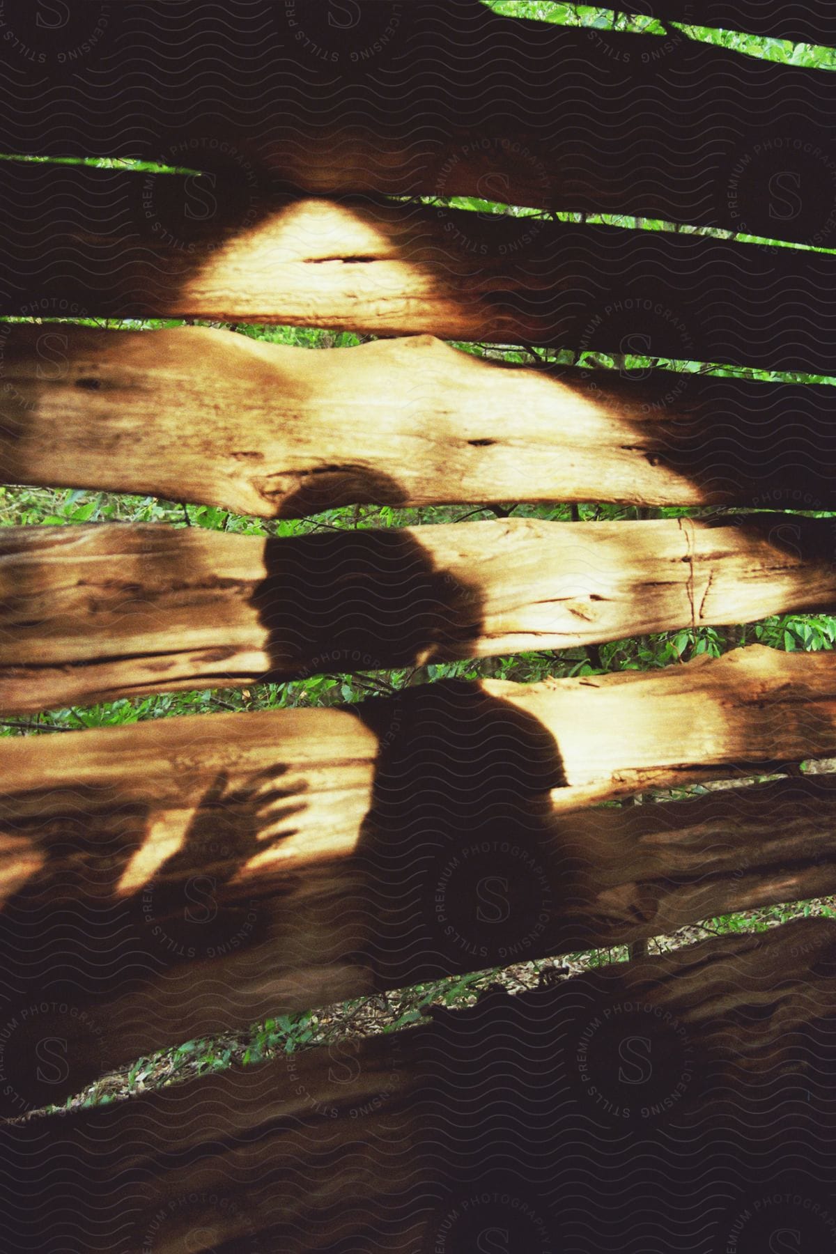 The shadows of two people are on a wooden fence near trees and plants