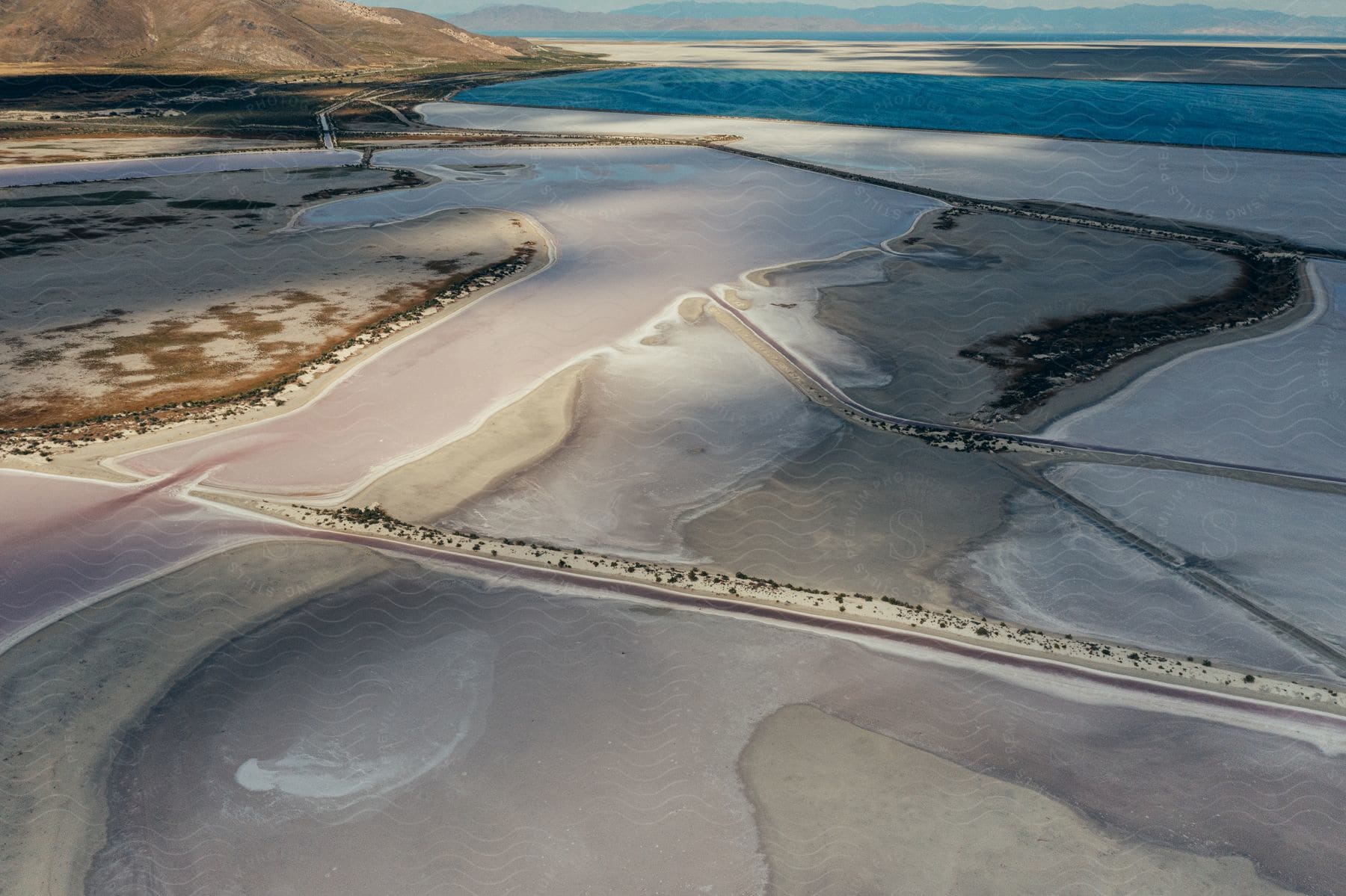 trails run through a vast sandy beach