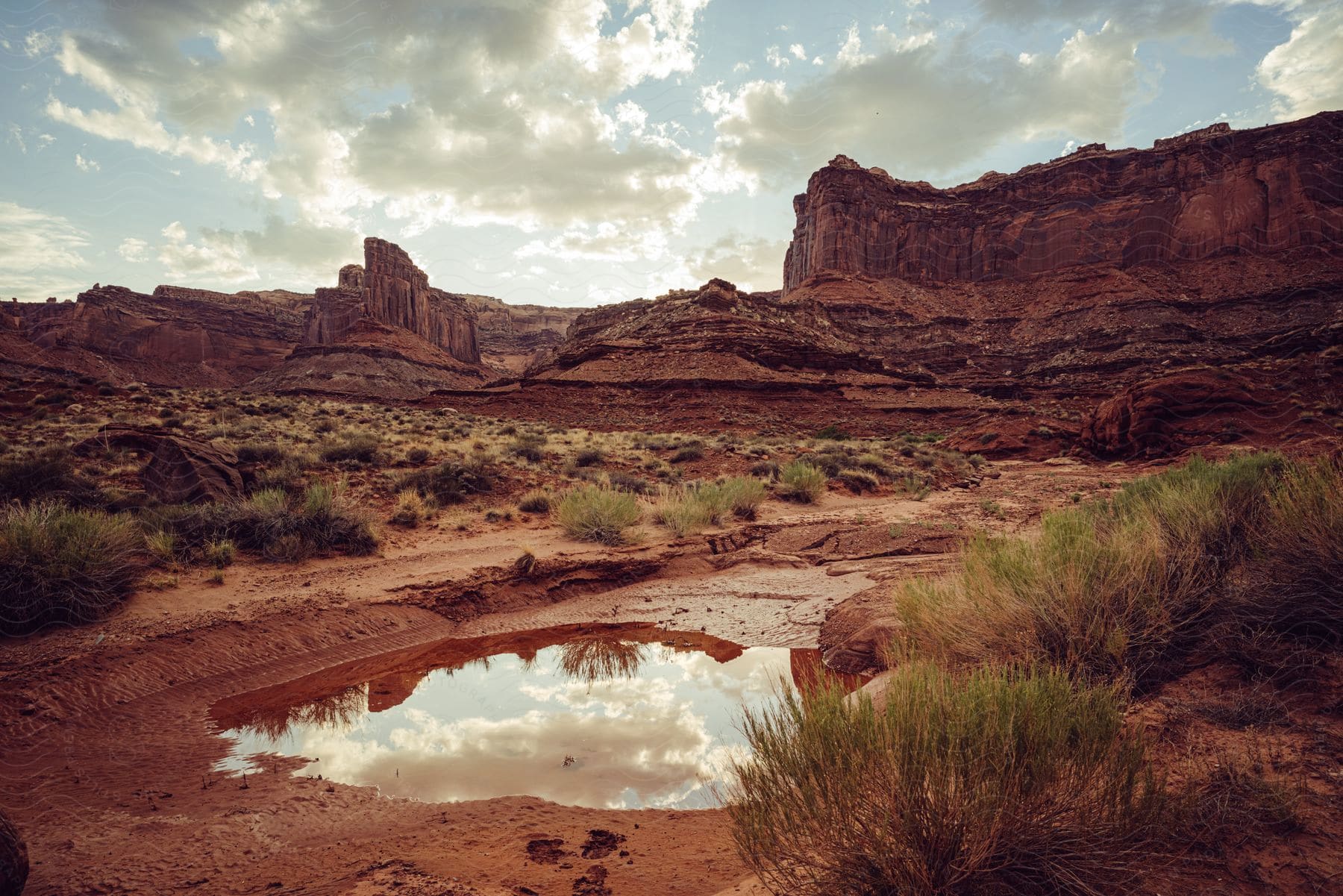 Clouds Reflect On A Puddle Among Plants And Red Rock Mountain Formations In The Desert Badlands