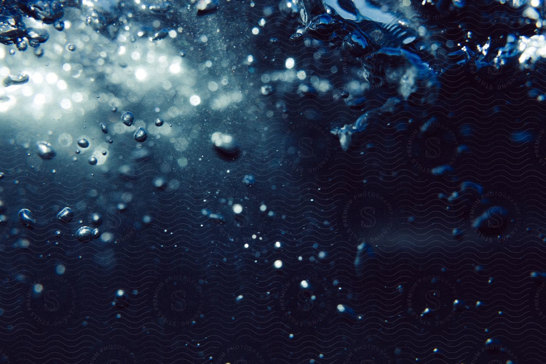 A macro shot of effervescent air bubbles rising to the surface of a body of water.