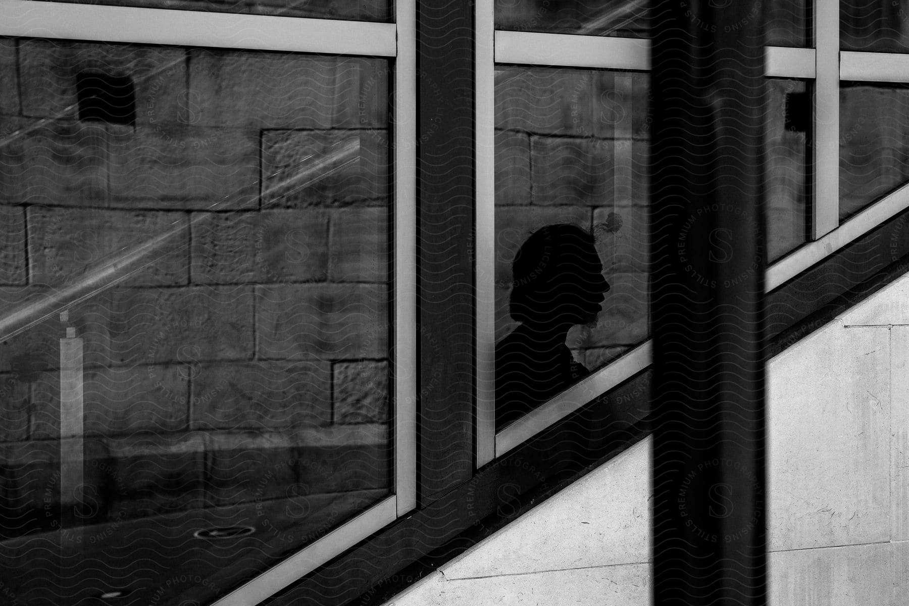 Silhouette of a person's head seen through a window as they walk inside a building