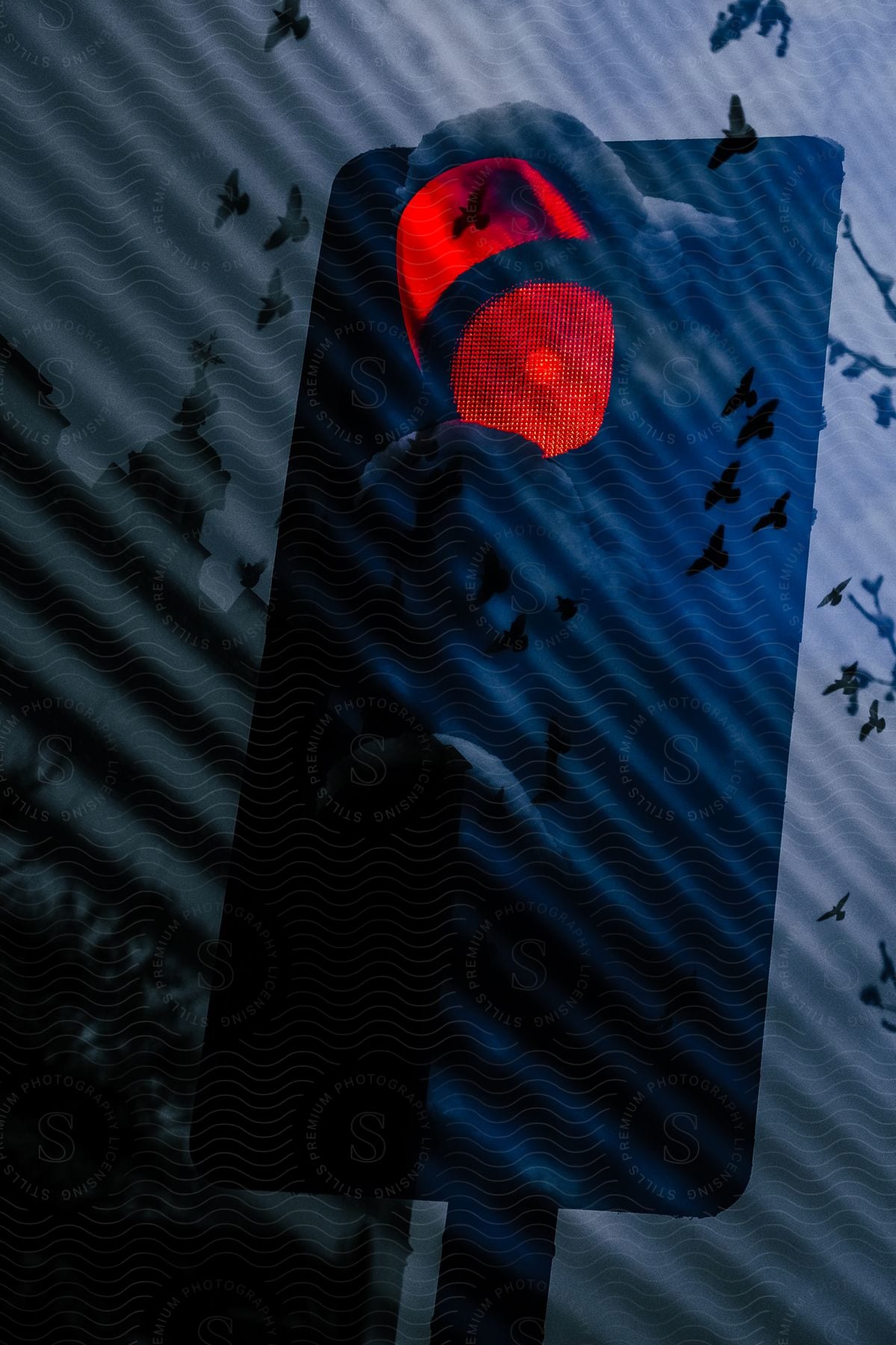 A multi-shot night cityscape image of a red traffic light with birds flying around it, silhouetted by a building.