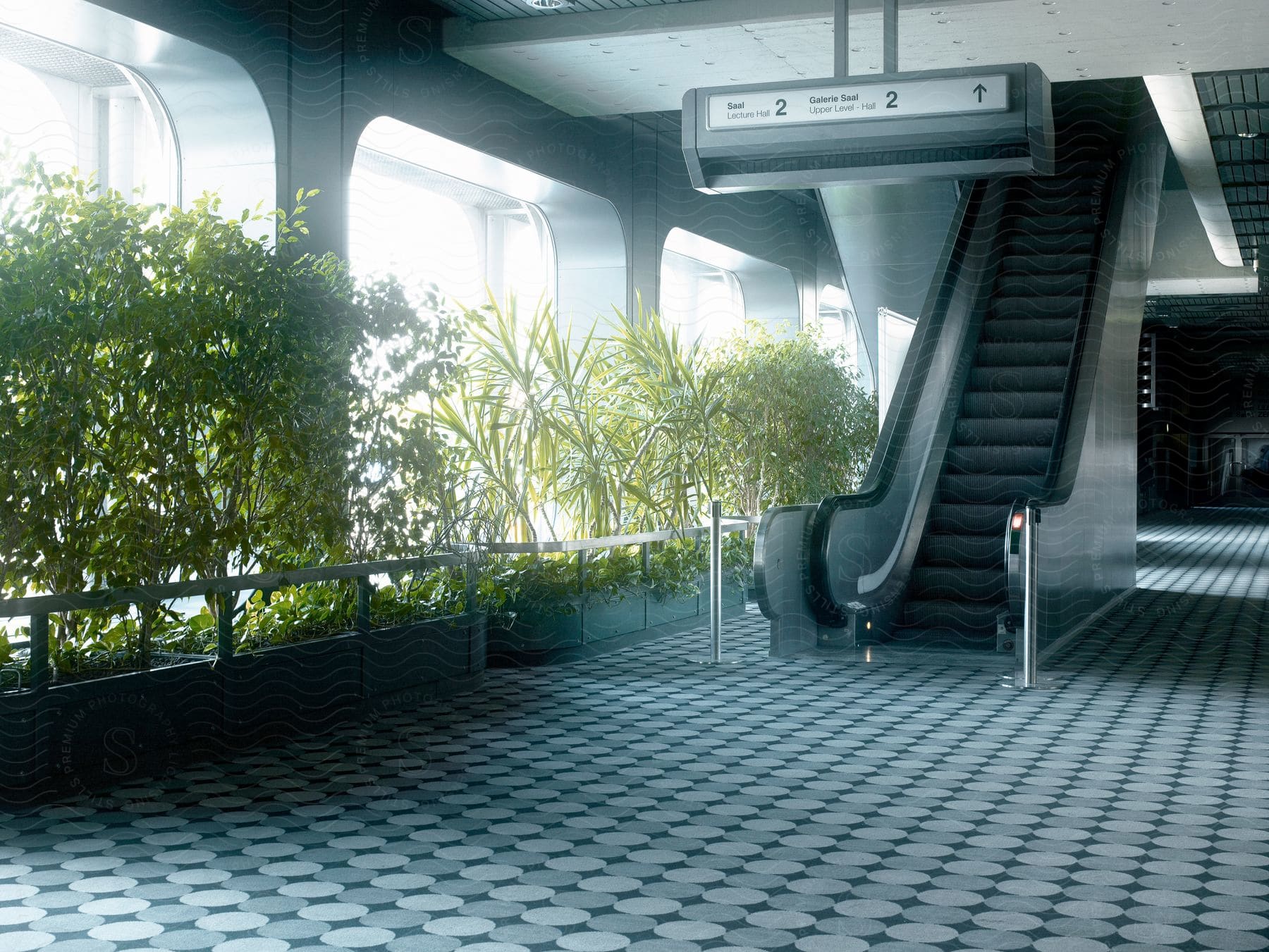 An escalator that leads upstairs and an environment with many plants.