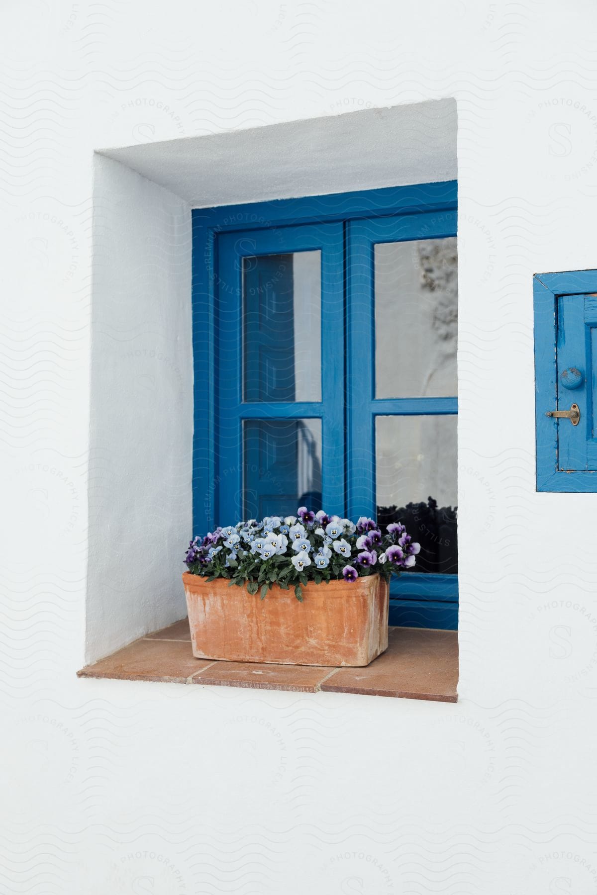 A flower pot in front of an old architecture blue window.