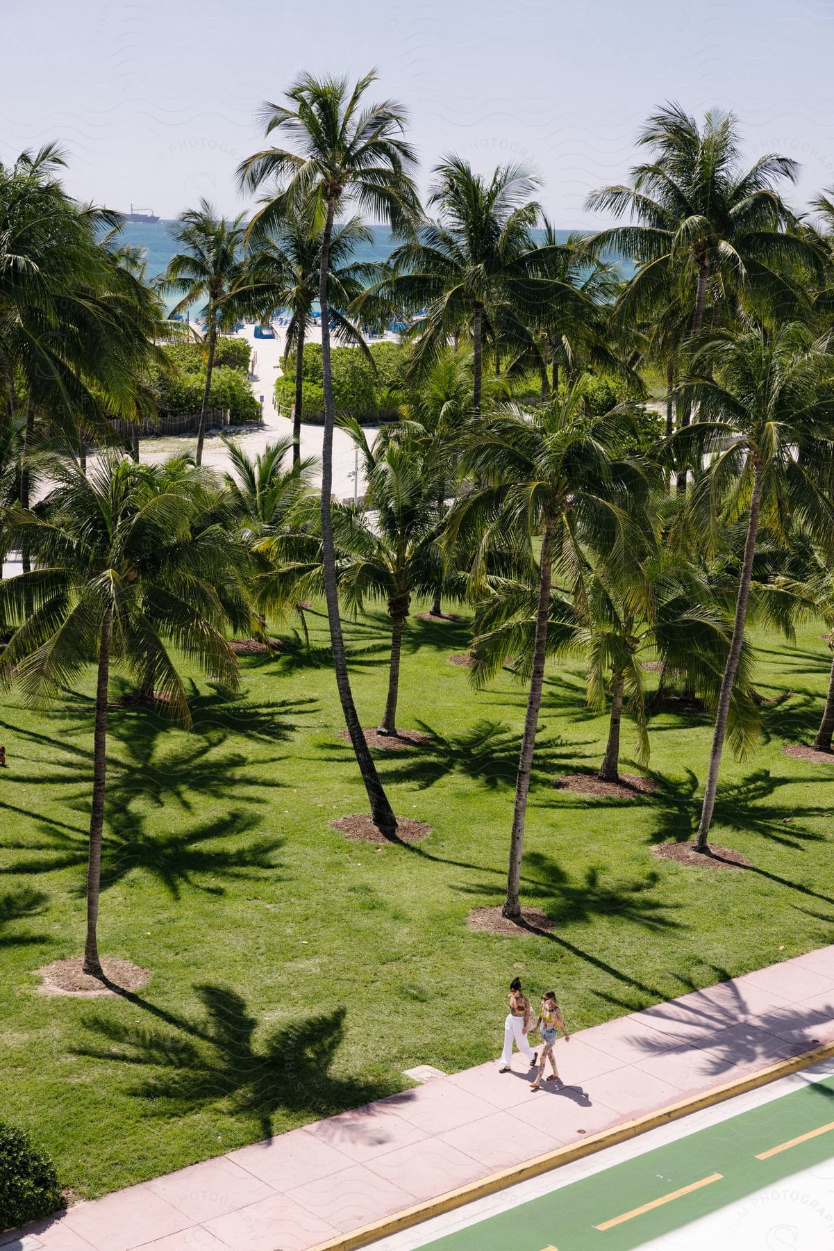 Two women in summer clothing stroll down a palm-lined sidewalk, the sandy beach and ocean beyond beckoning them.