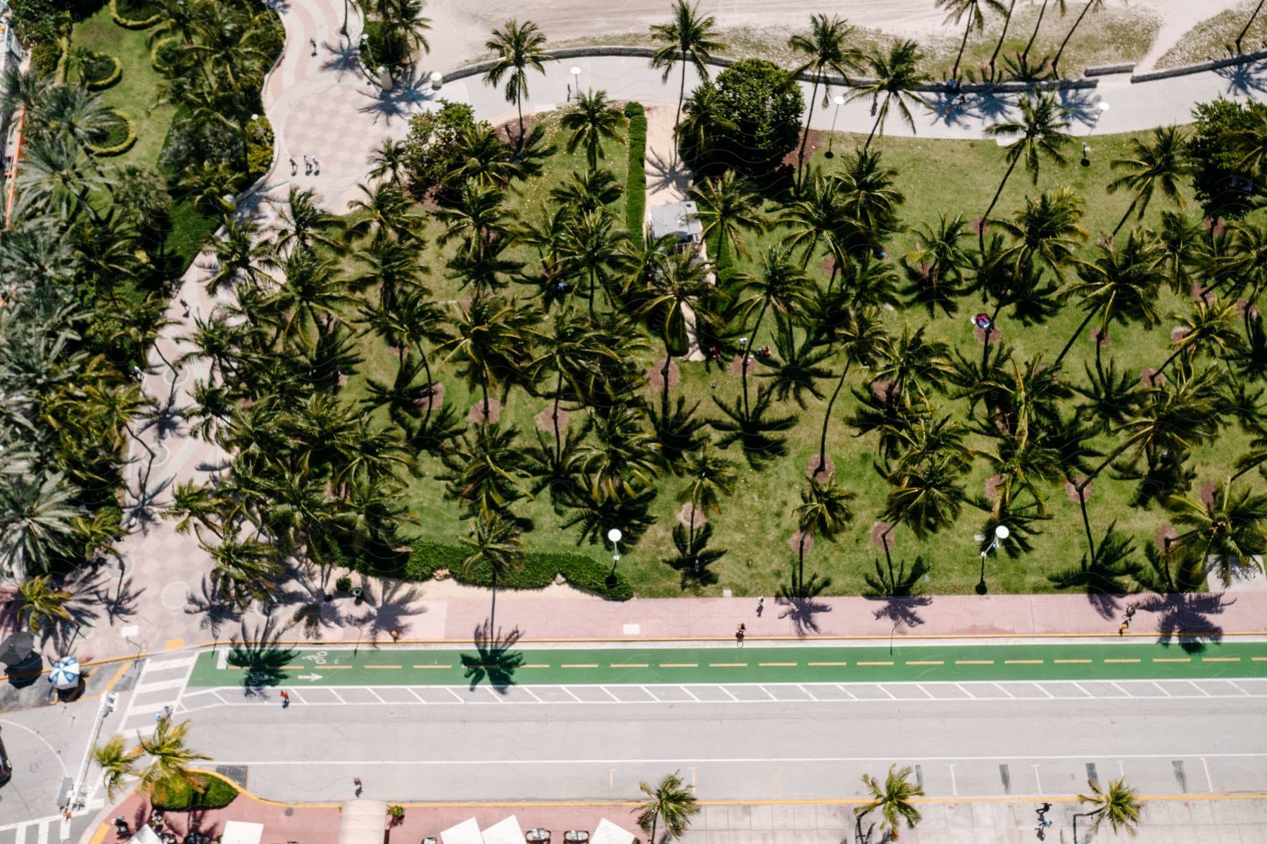 Aerial view of grove with several palm trees next to the street.