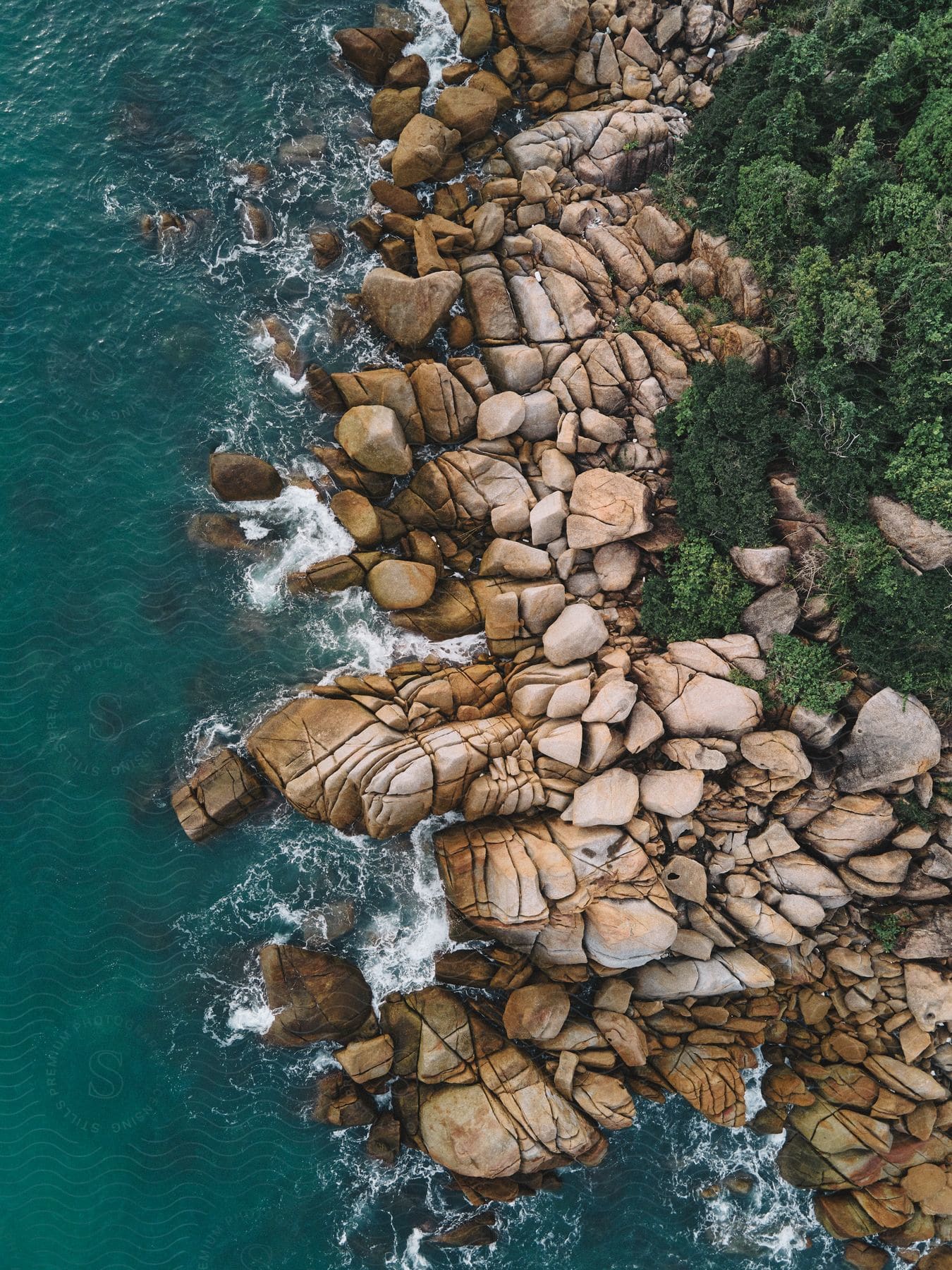 An aerial view of a rocky shore with a large body of water, waves crashing on the rocks, and trees and bushes beyond.