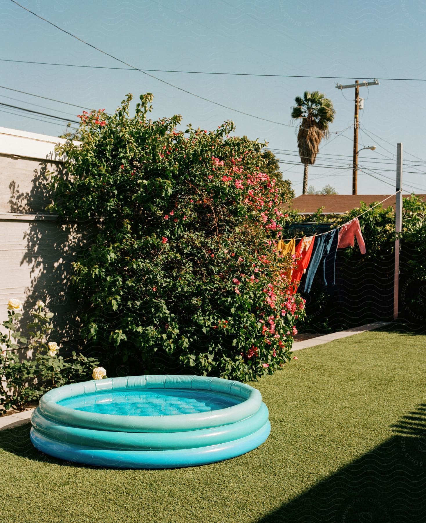 a kiddie pool is placed in a backyard near clothes drying on a line