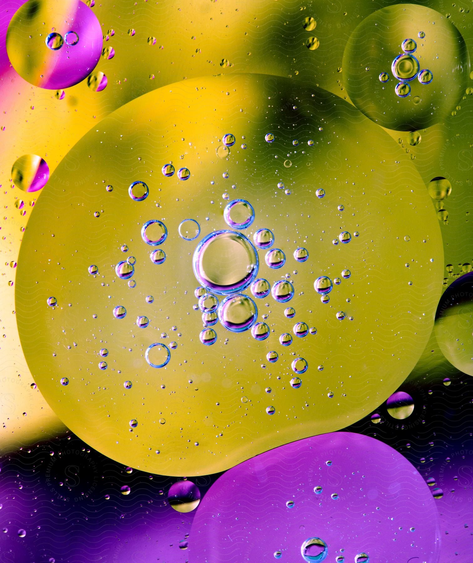 Stock photo of a group of abstract bubbles float on a purple and yellow surface, filled with air droplets.