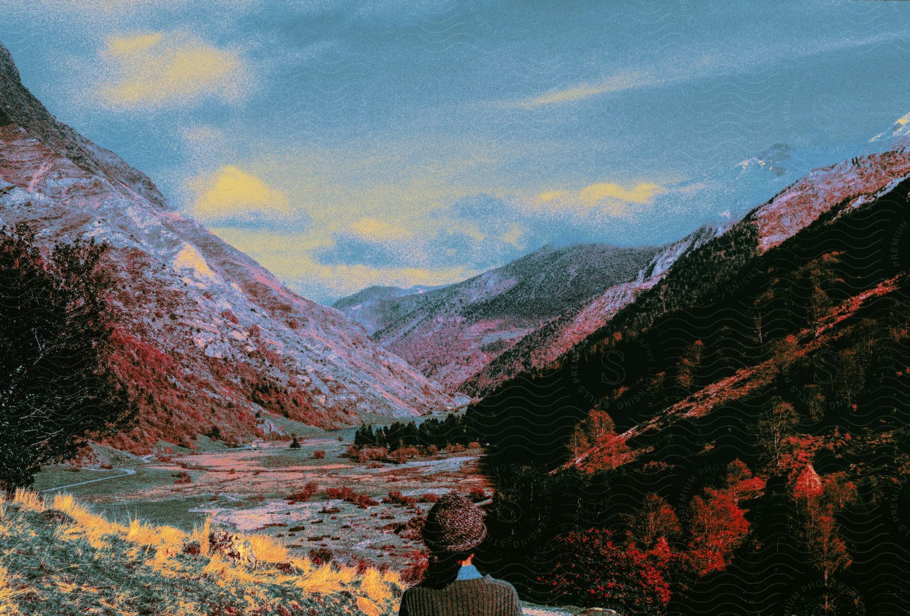 A Person Looking Into A Valley Where The Vegetation Is Mostly Red