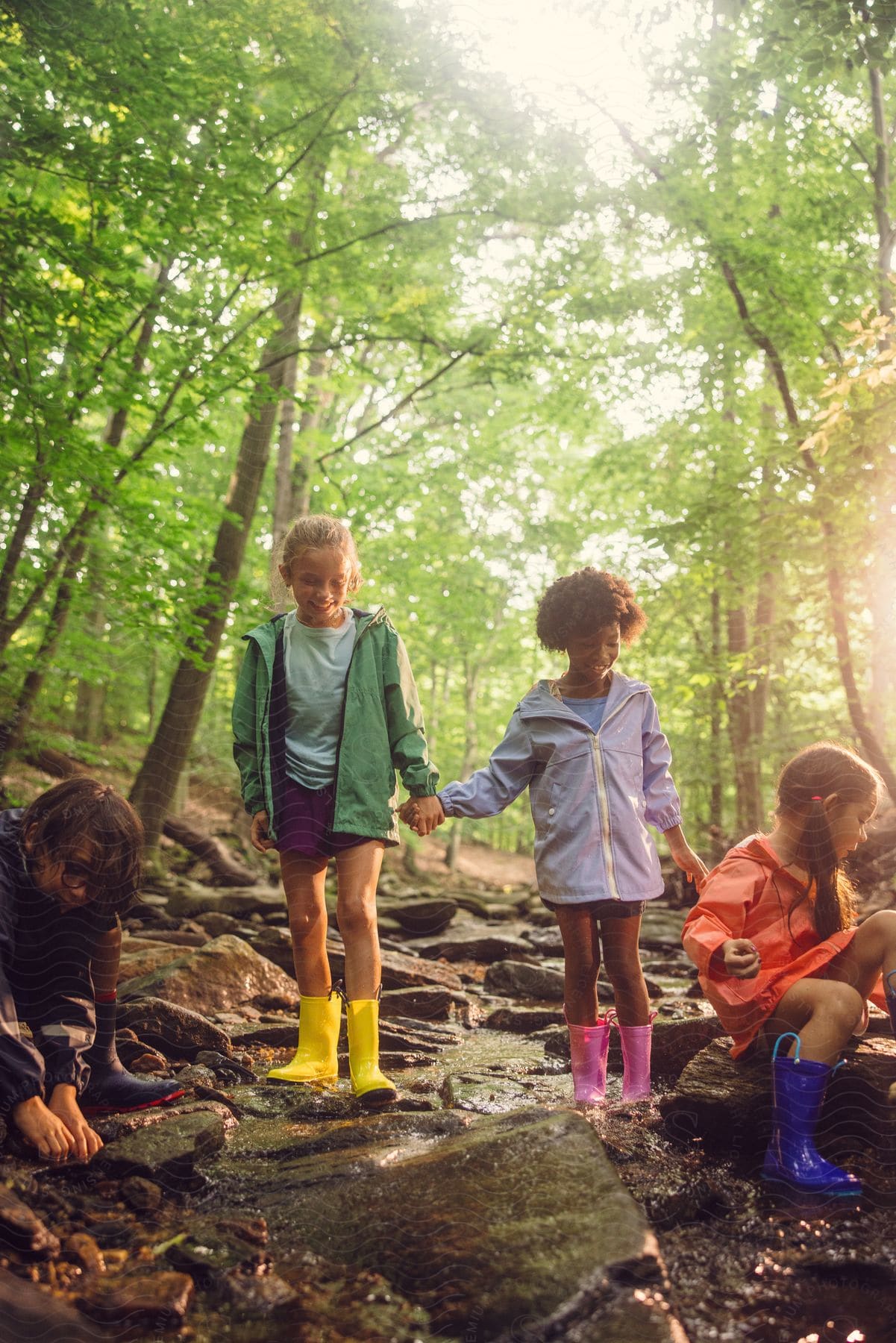 Young group of friends explores creek in woods.