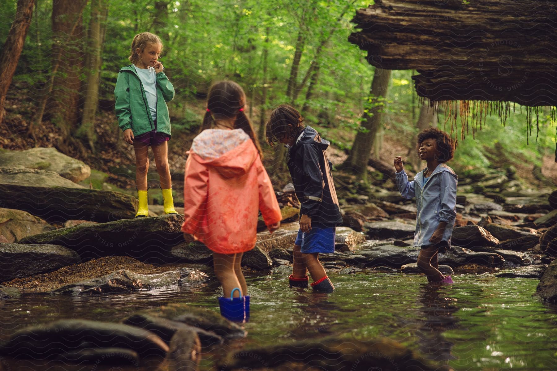 children frolic in a creek in the woods