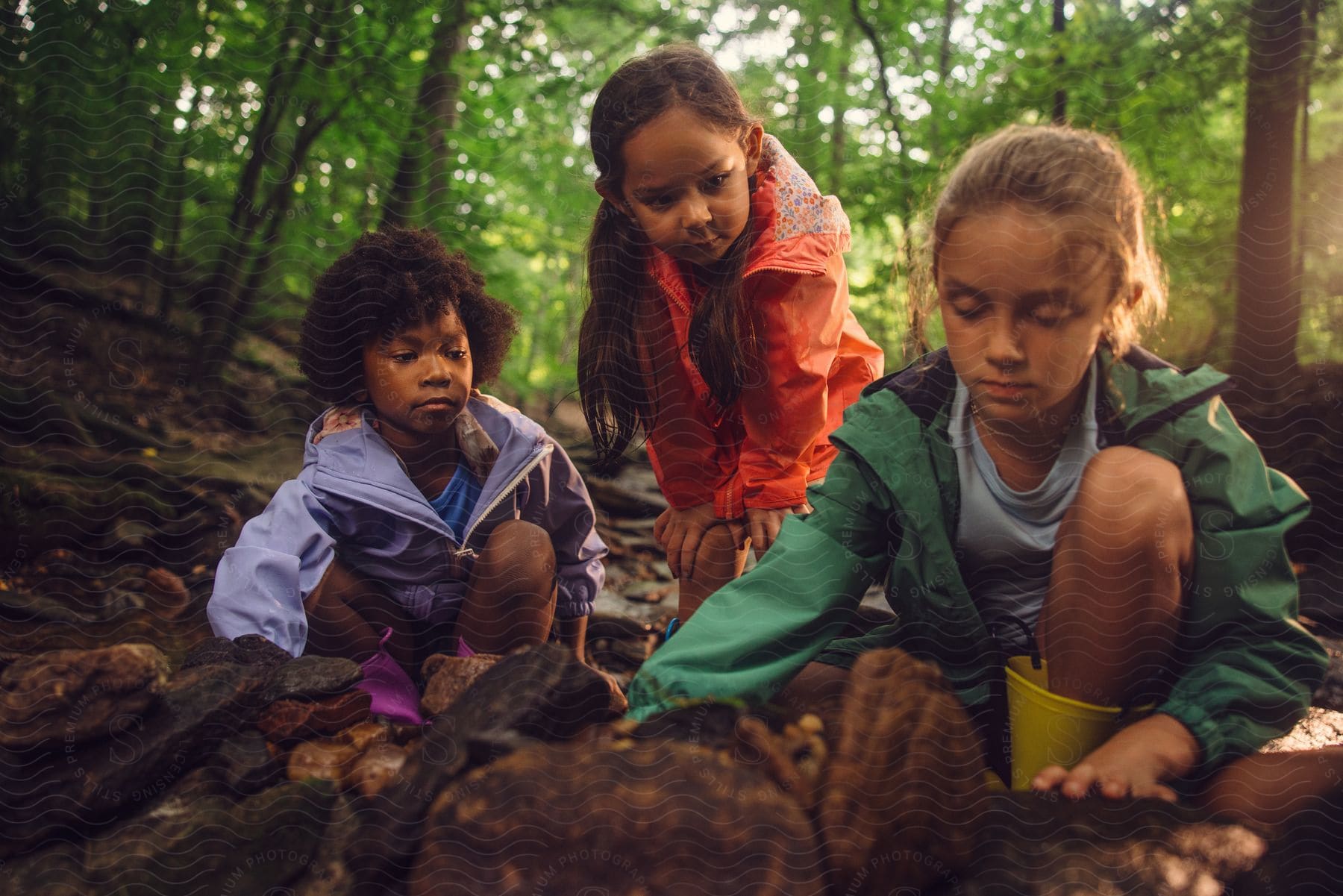 young girls playing with the ground and stones at a forest during day time