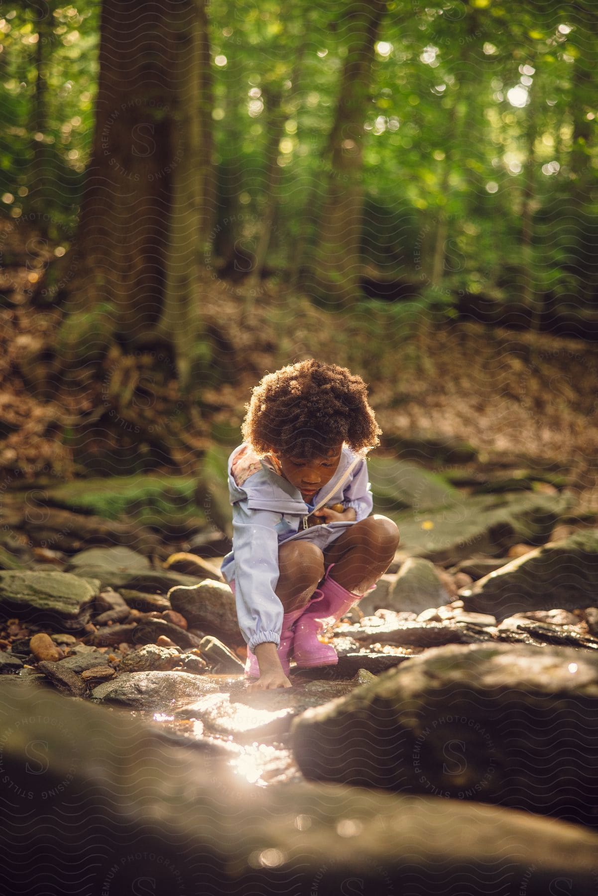 a young girl touches rocks in a stream in the woods