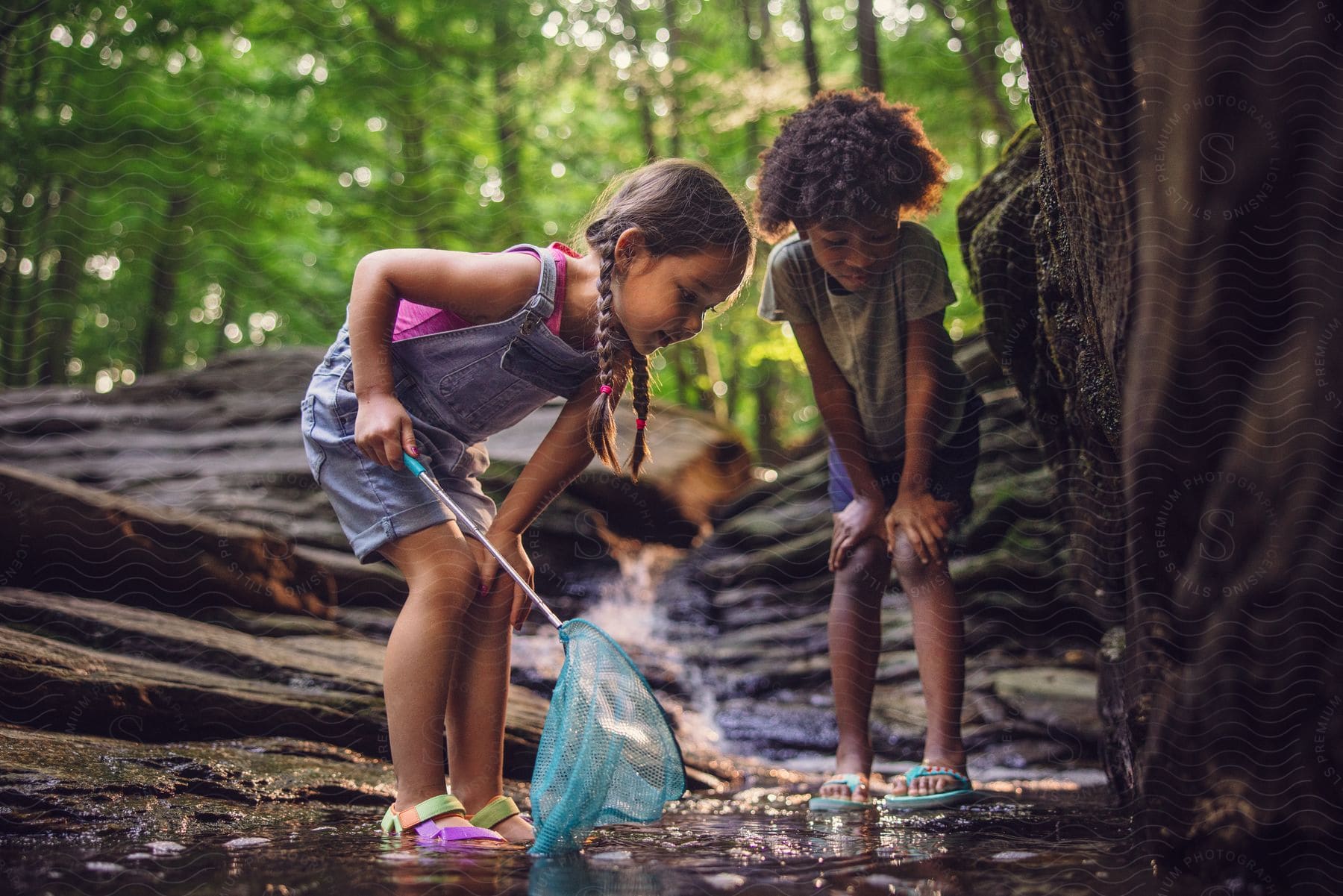 Stock photo of two girls playing in a forest stream, catching creatures with a net.