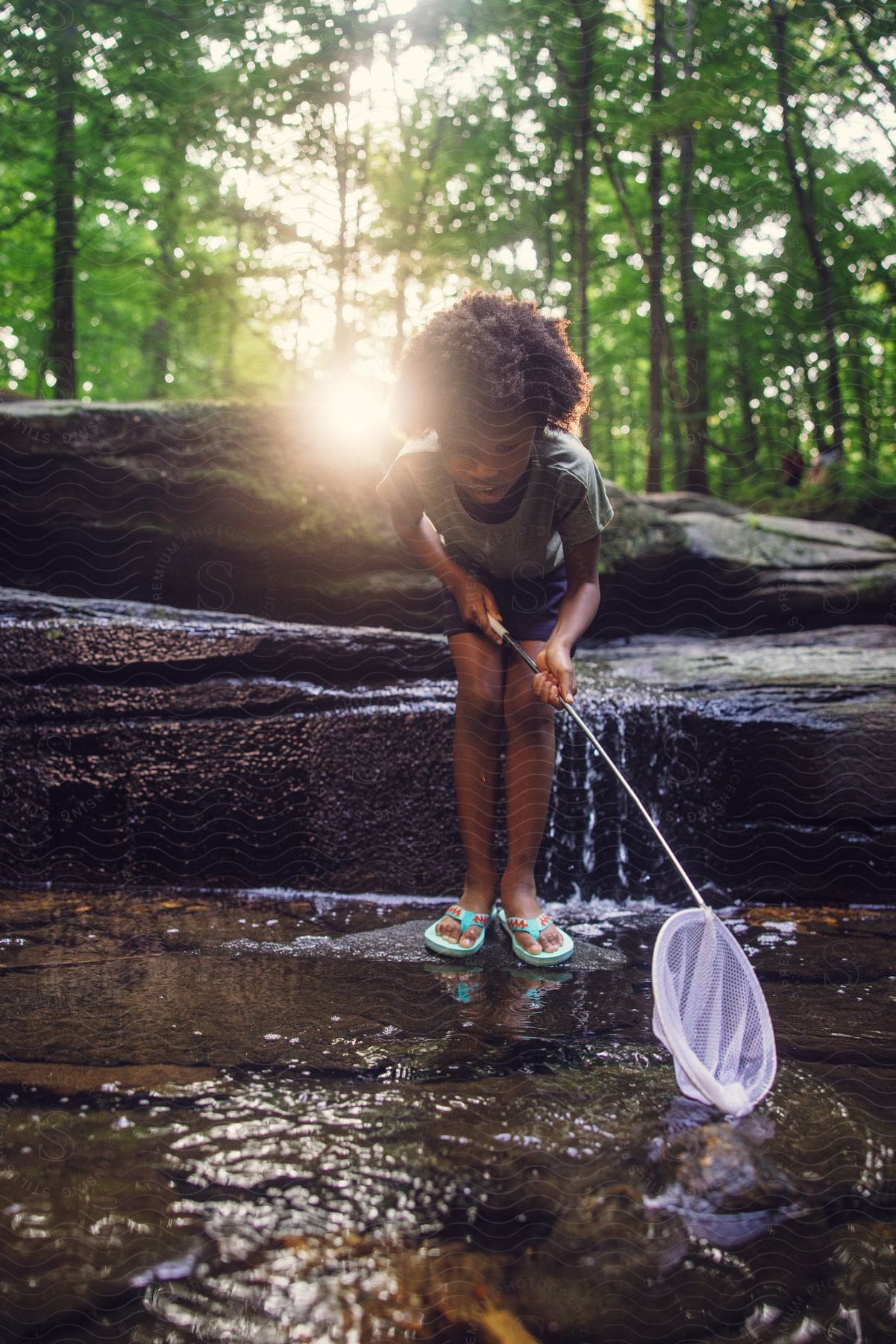 Young girl wades in a creek and tries to catch aquatic wildlife with a net.