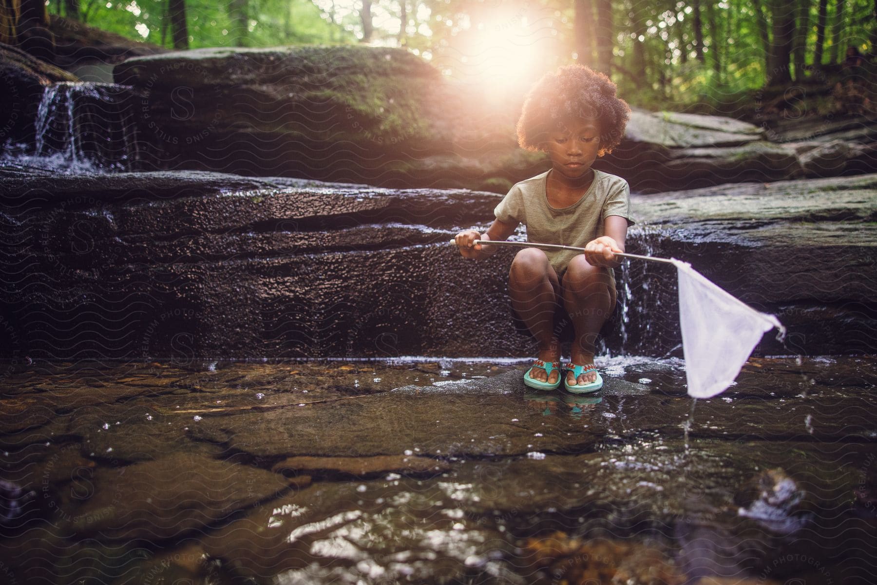 A young girl kneeling in a stream in nature holding a fish net in her hands over the water