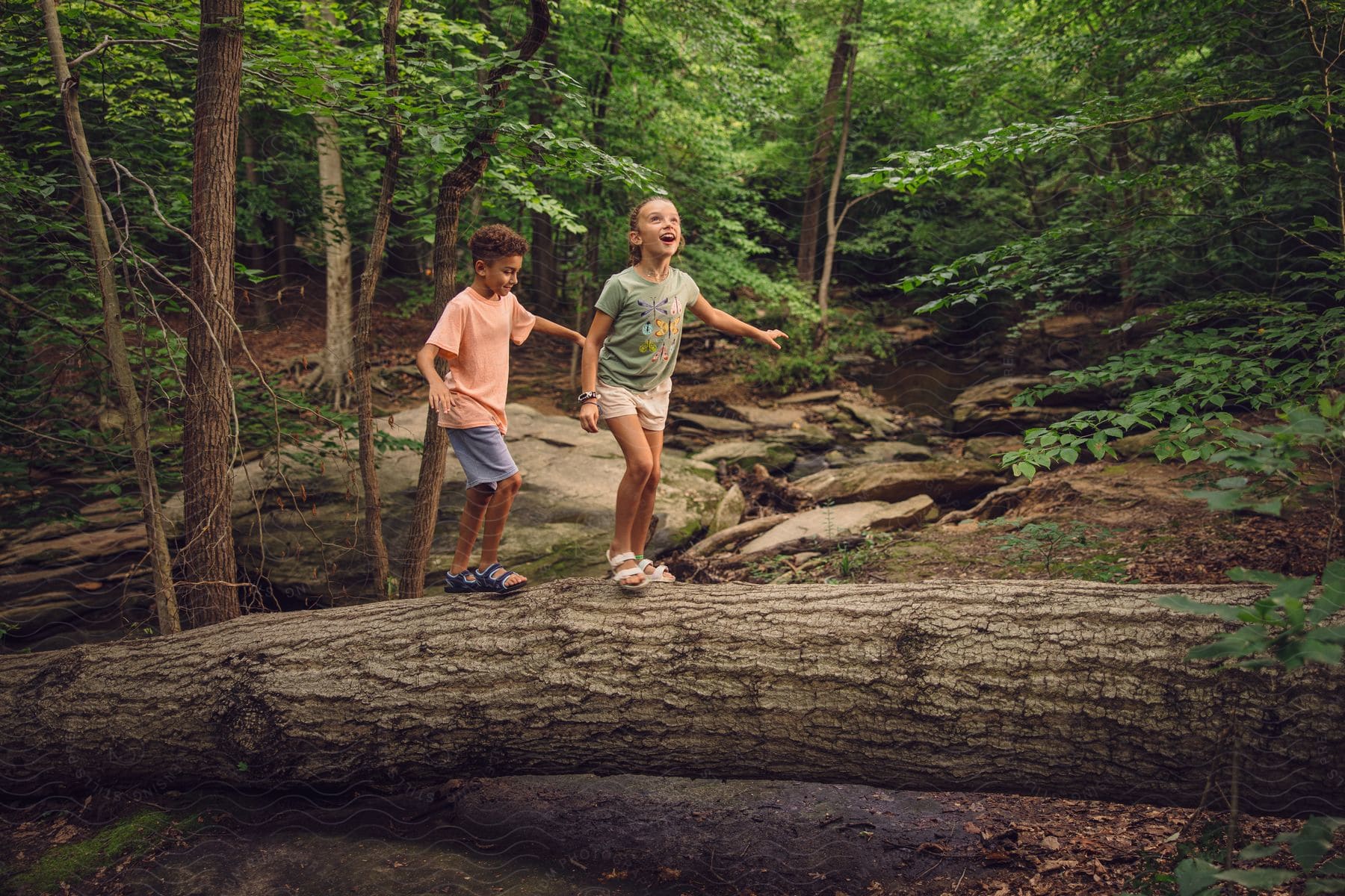 Two boys walking over a falling tree trunk to cross a creek.