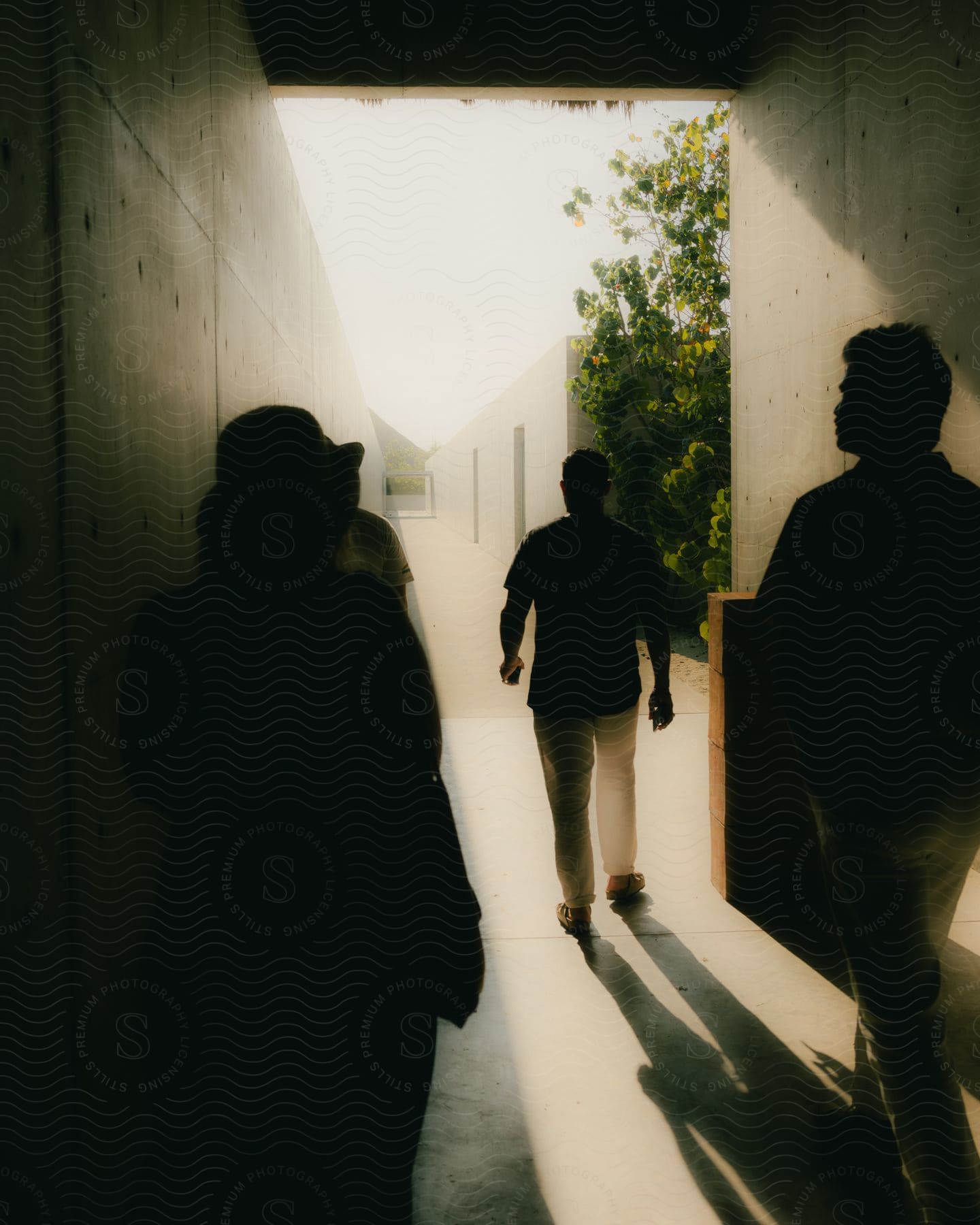 Four people walking out of a covered walkway into the sunlight.