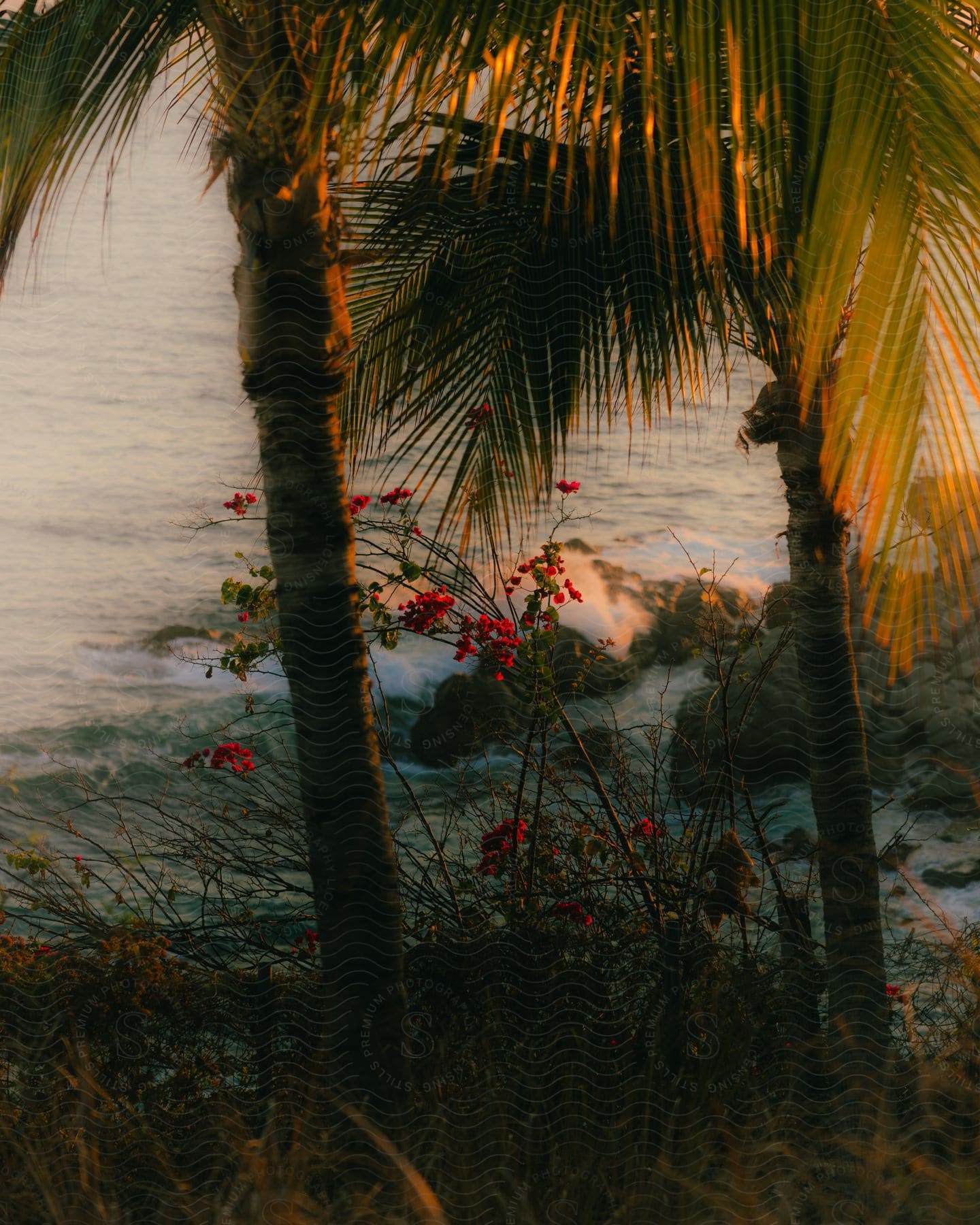 A small monkey sits in a flower bush under palm trees overlooking the beach.