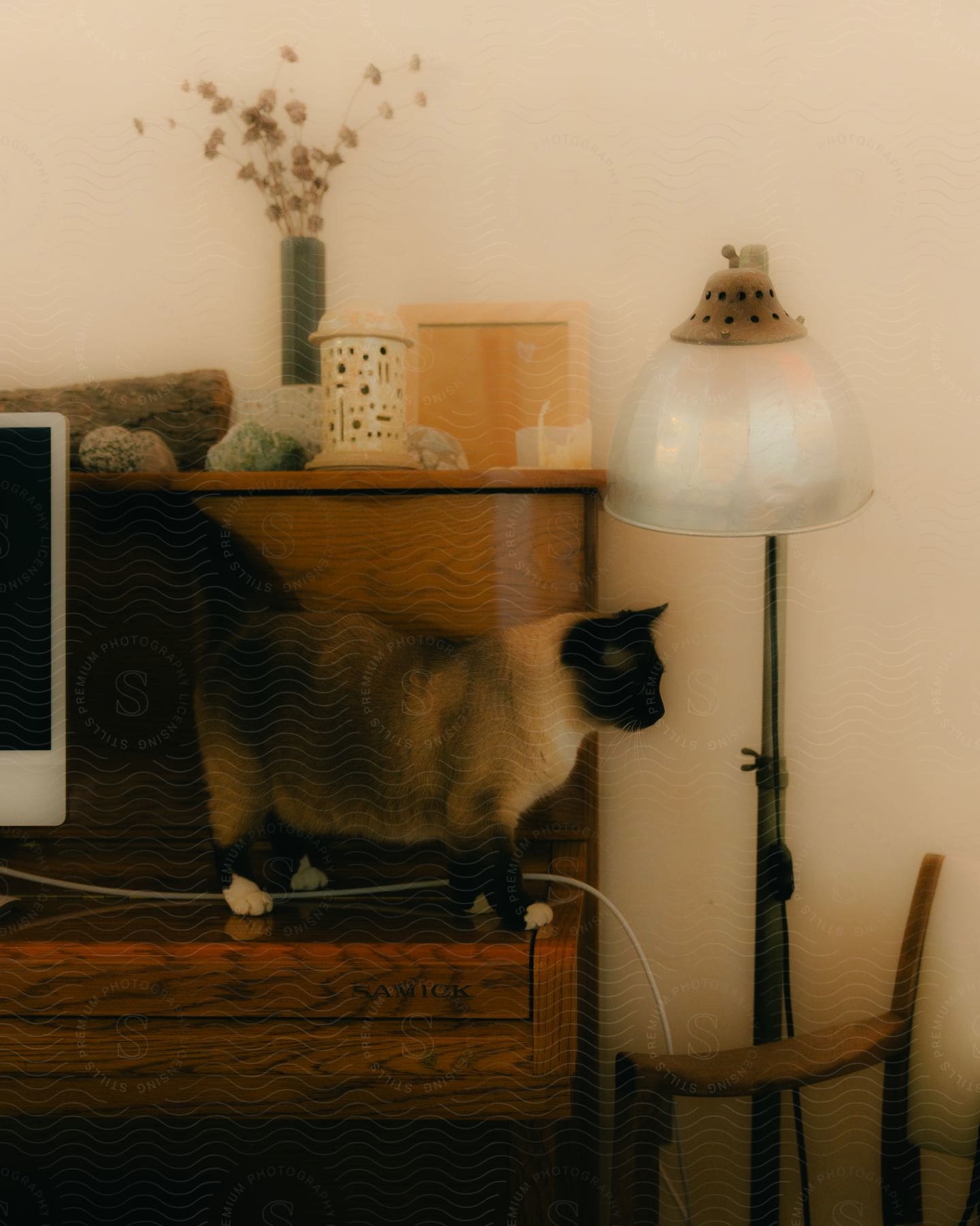 A Siamese cat stands on top of a wooden desk in a home.