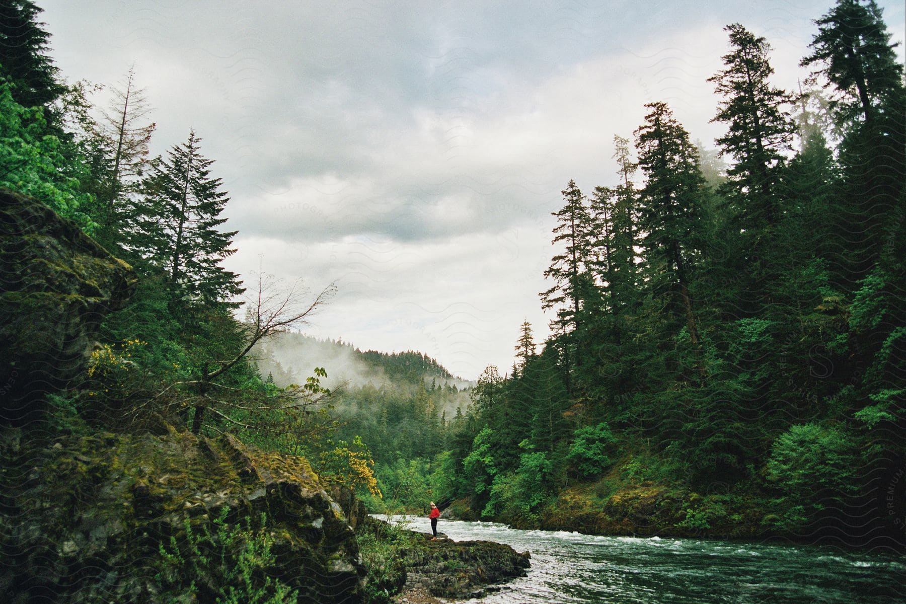 A lone fisher person stands on the bank of a river in a misty forest.