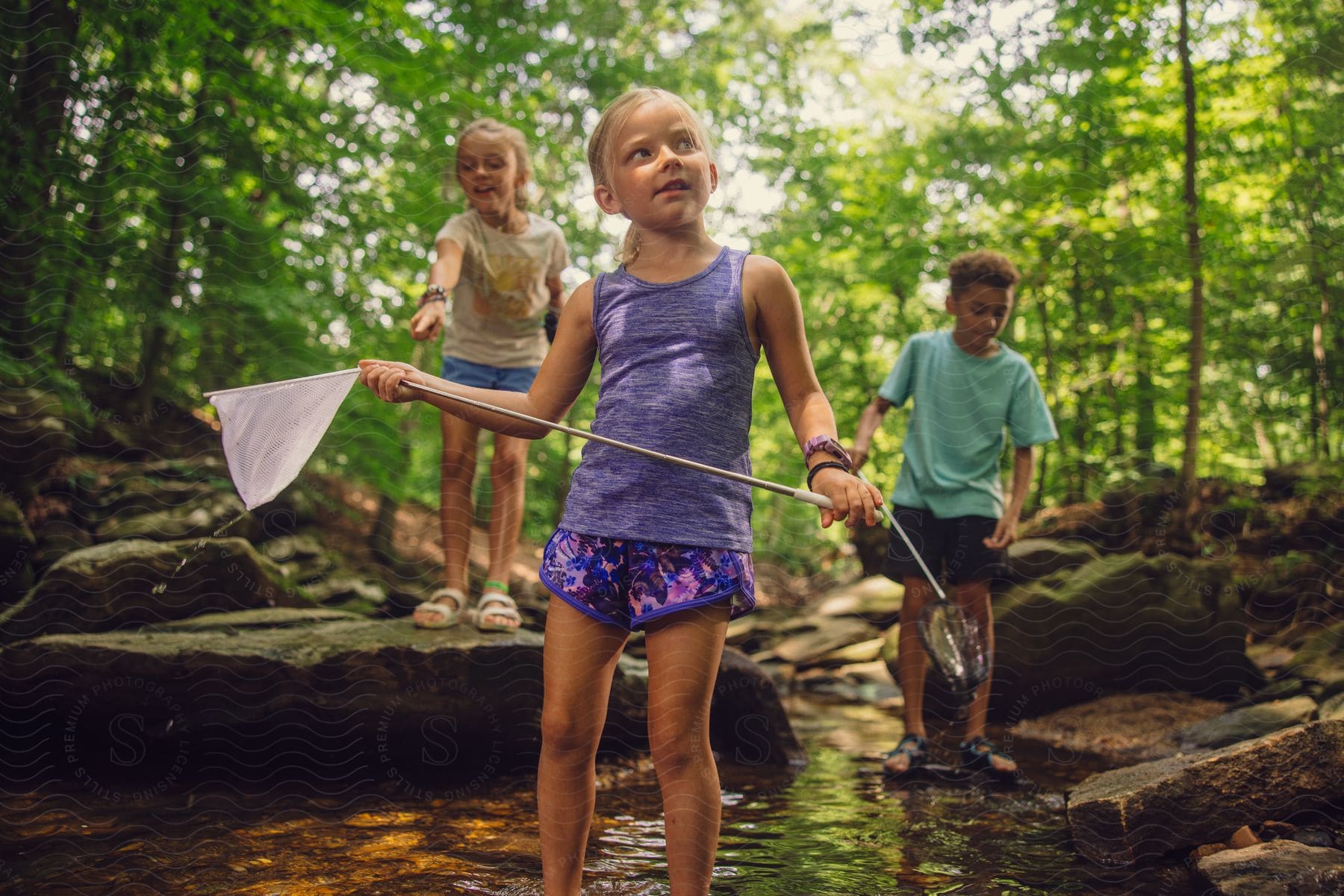 a group of children playing in a stream in the woods with a butterfly net