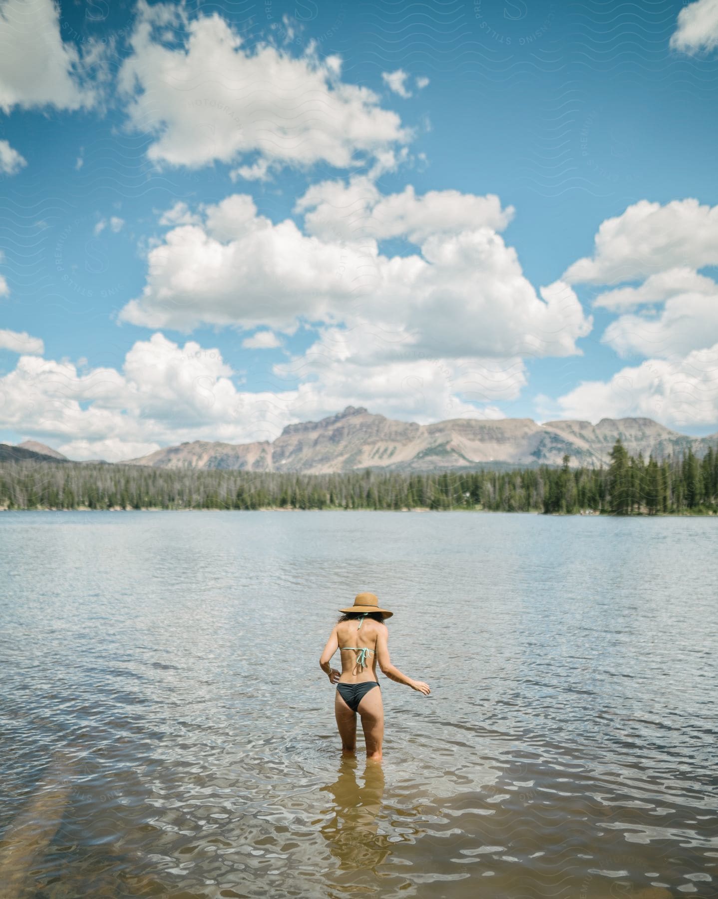 The backside of a woman in a bathing suit standing in a lake up to her knees on a bright sunny day surrounded by trees and mountains.