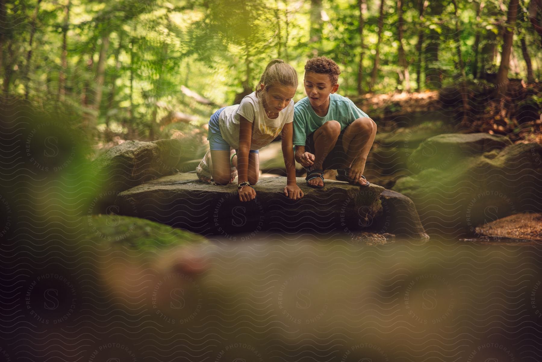 A young boy and girl are atop a rock as they happily look into a creek located in under a grove of trees.