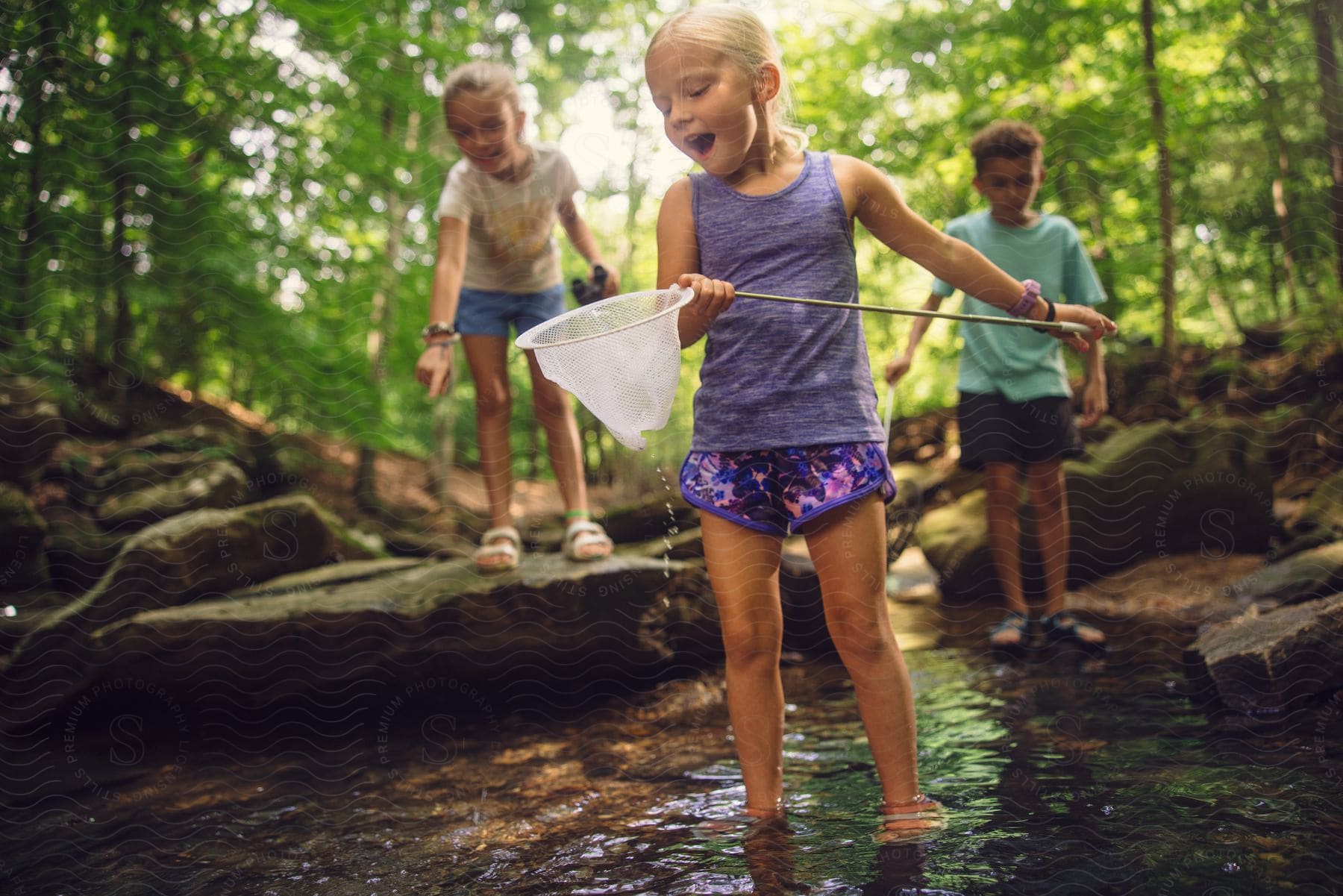 Two girls and a boy are playing in the woods in a creek.