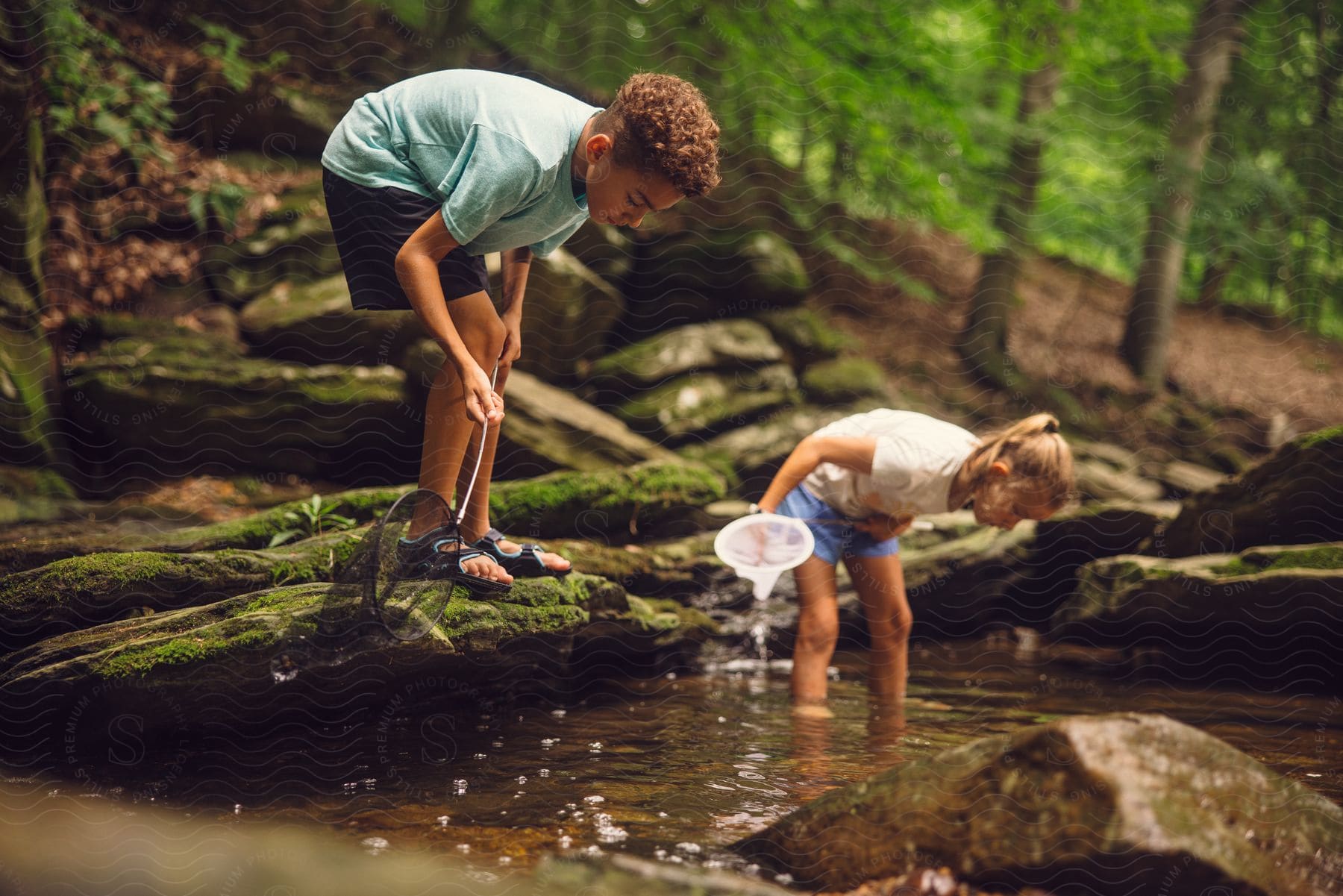 Two children are playing with fishing nets in a creek in the woods