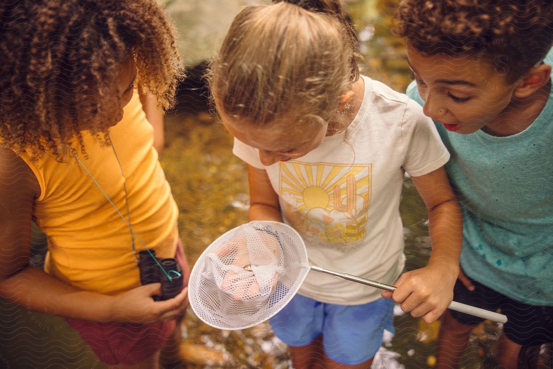 Three children are looking at a net.