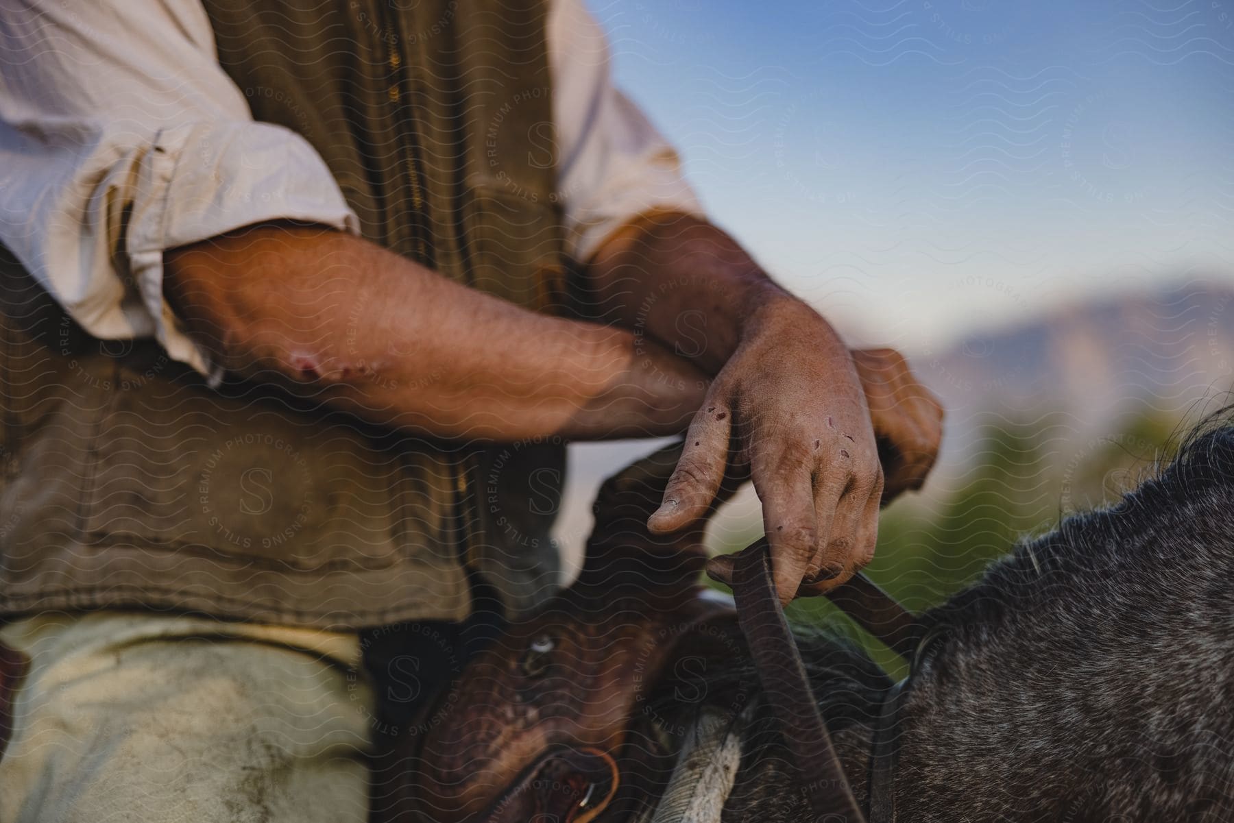 A man with scarred hands and elbow riding a saddled horse.