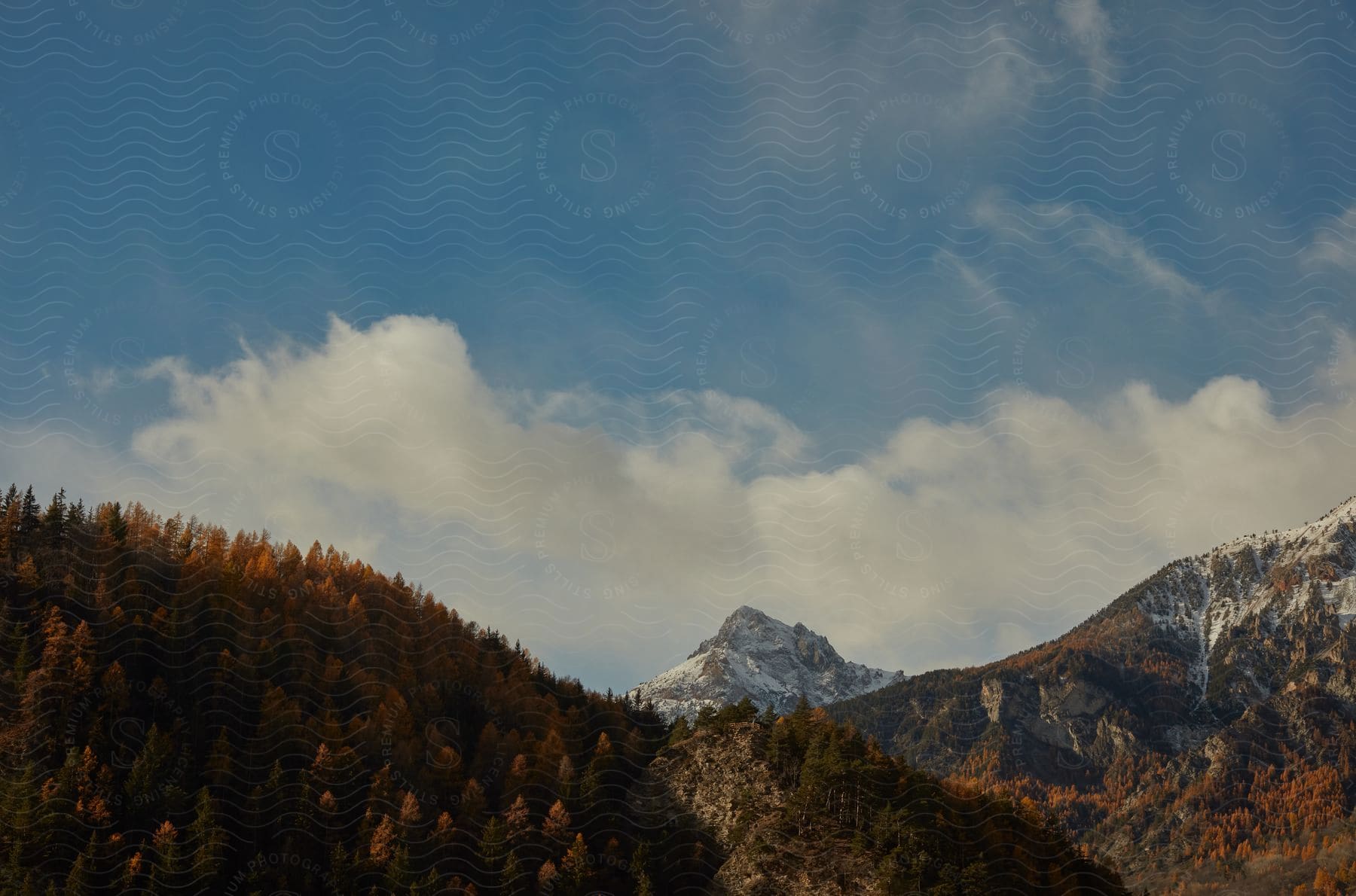 aerial of mountains covered with trees in autumn season