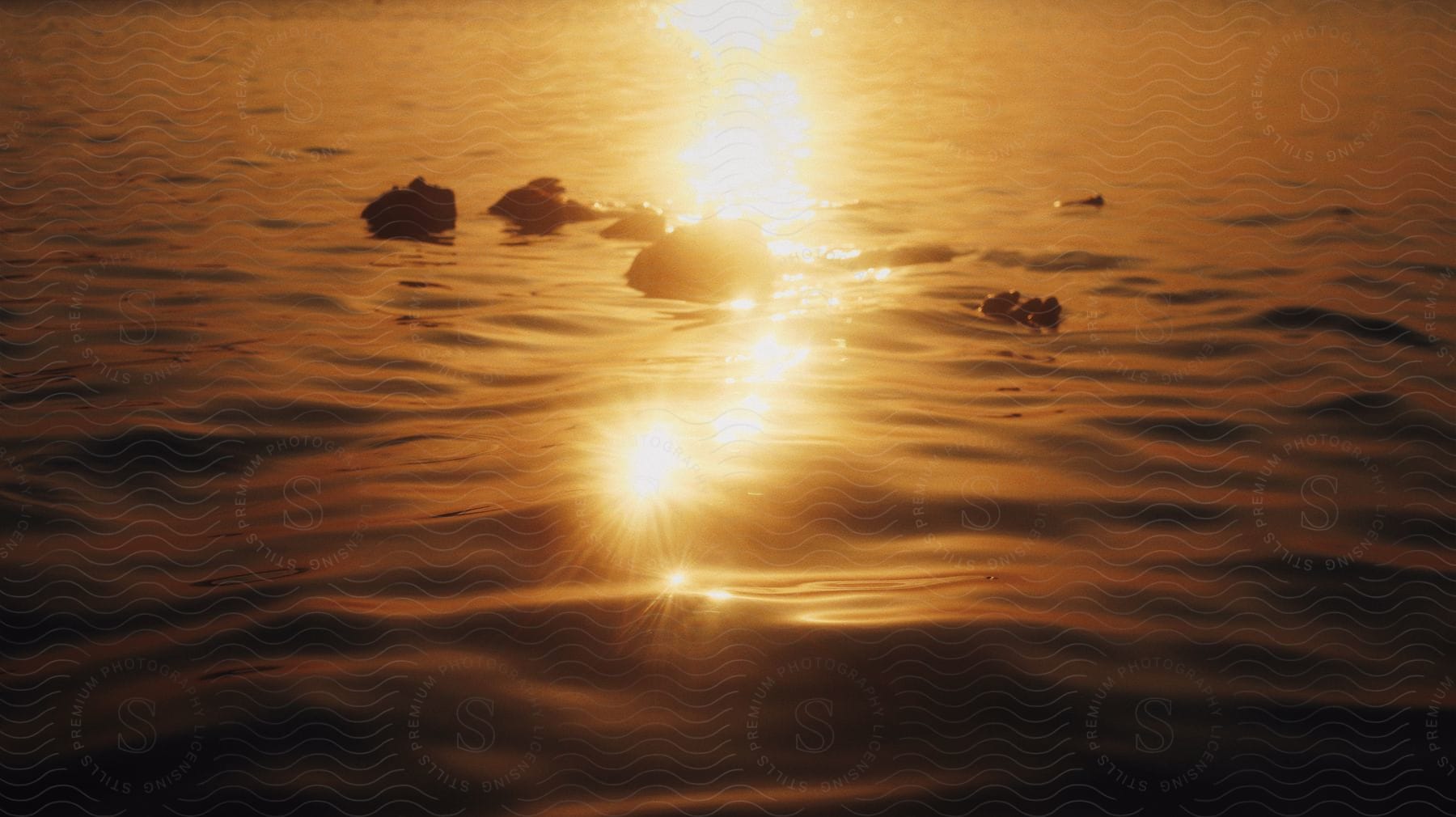 The Sun Rises Over Rippling Waves In The Ocean