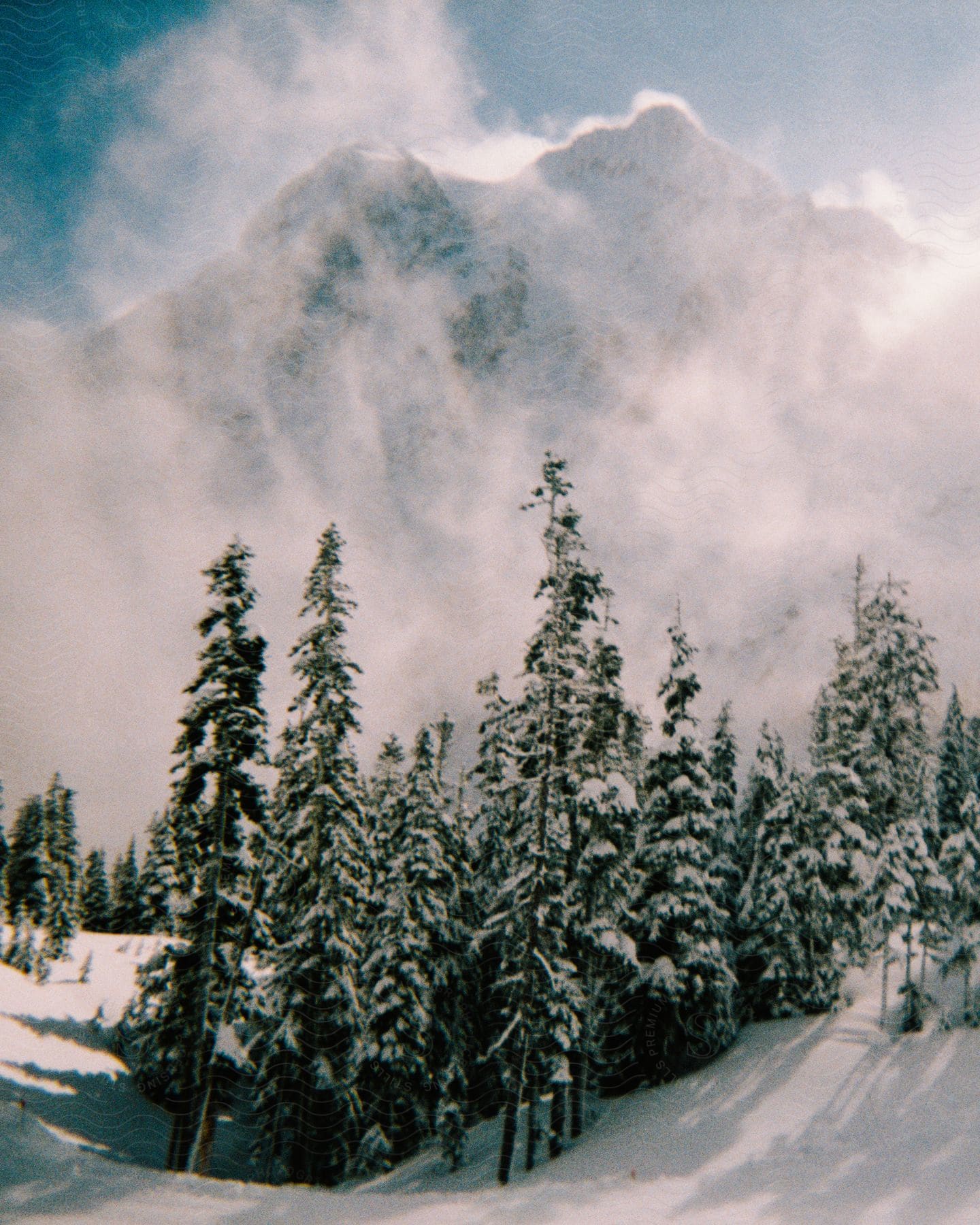 powdery snow surrounds a mountain and forest below