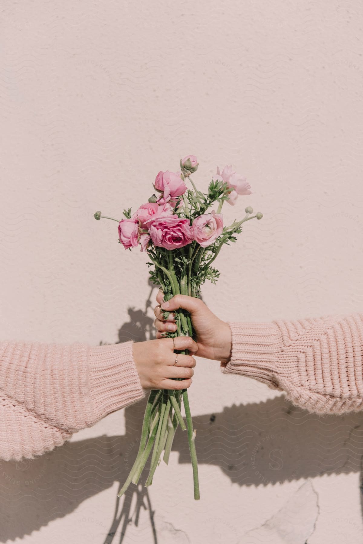 Close up of hands wearing pink sweater giving a bunch of flowers to each other