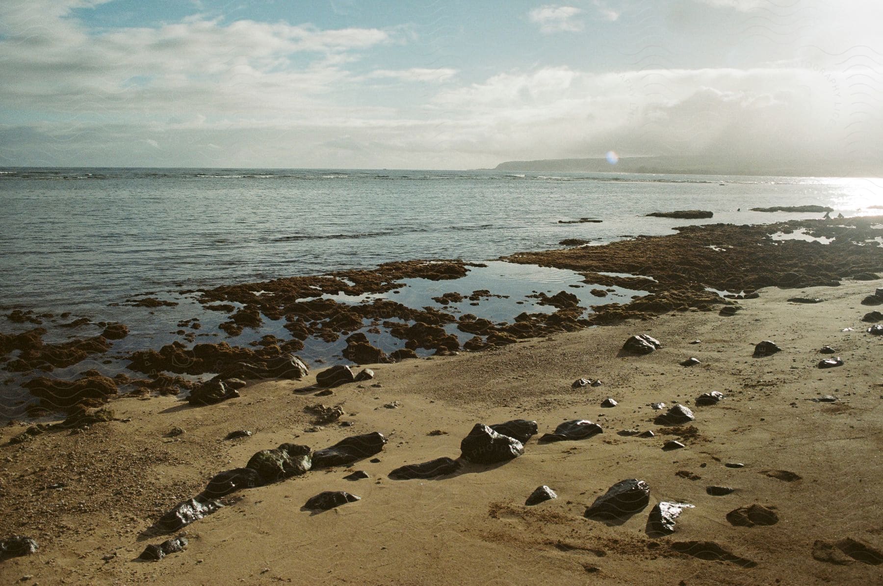 A sand covered beach also contains numerous rocks scattered across its surface.
